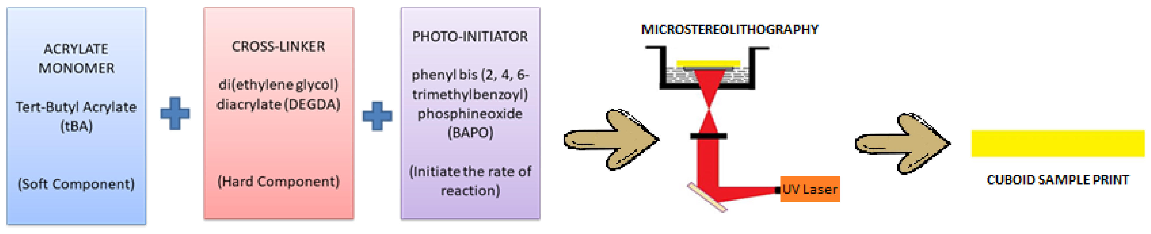 Polymers 13 03660 g001