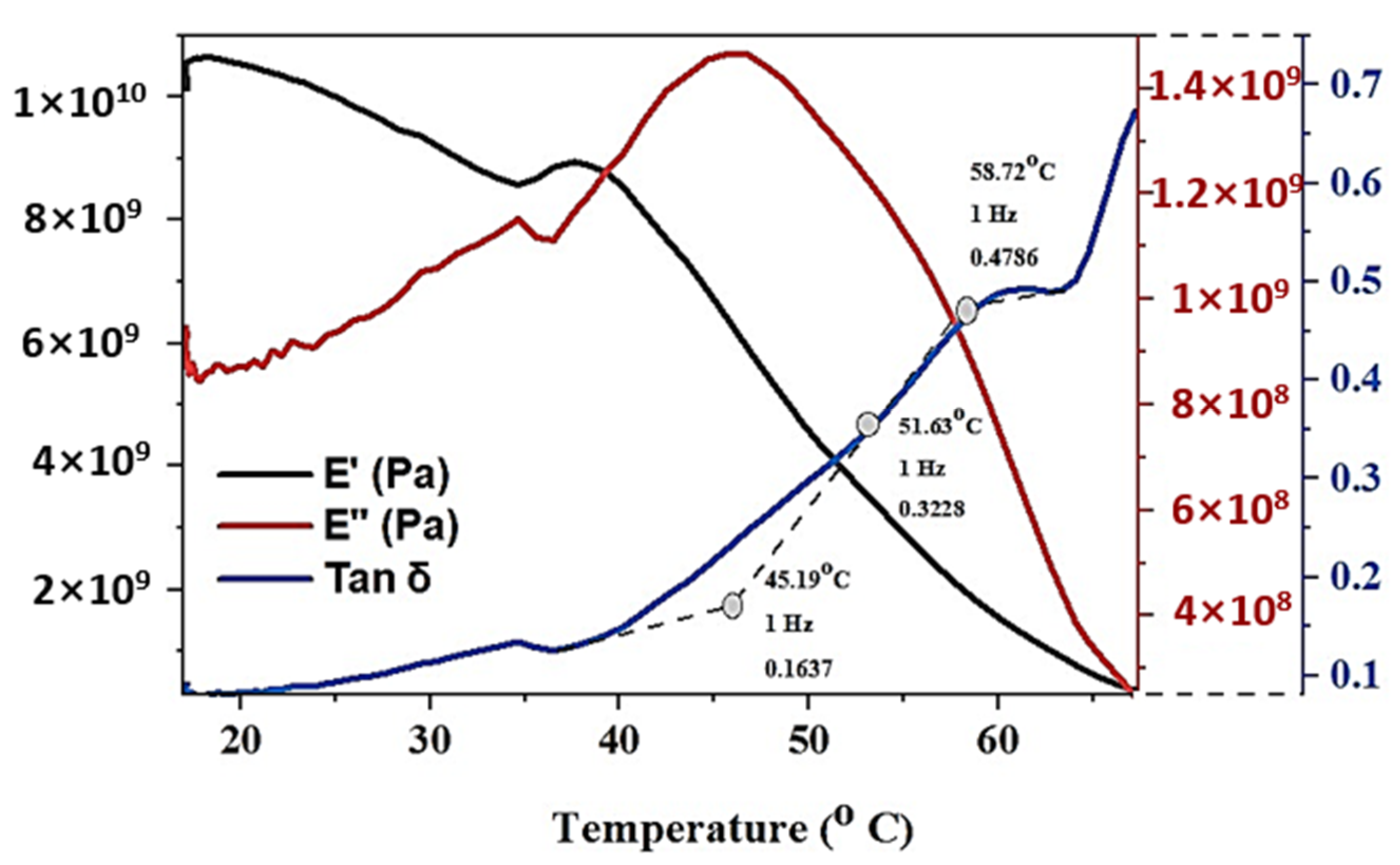 Polymers 13 03660 g013
