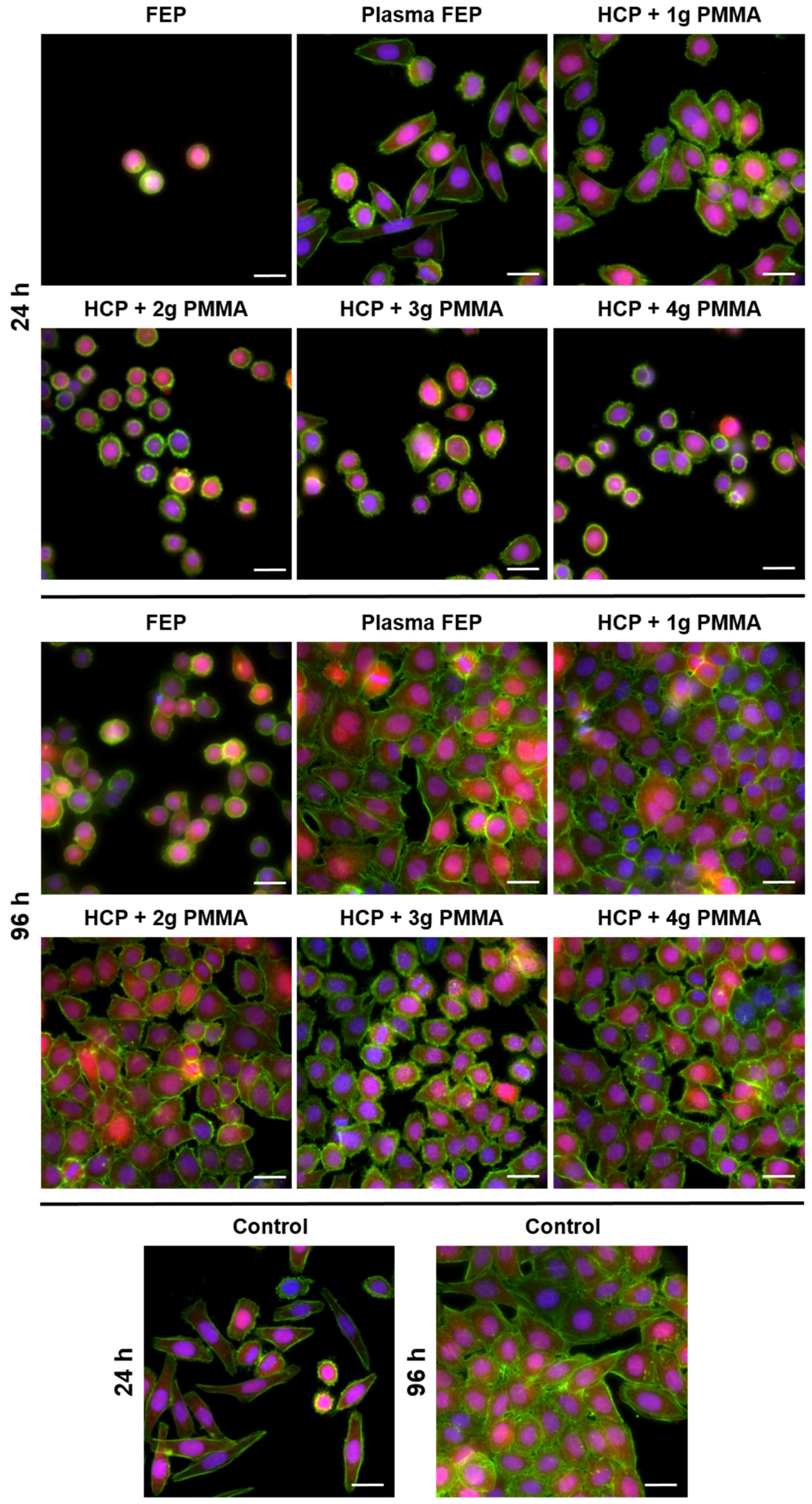 Polymers 13 03663 g006 Polymers 13 03663 g006