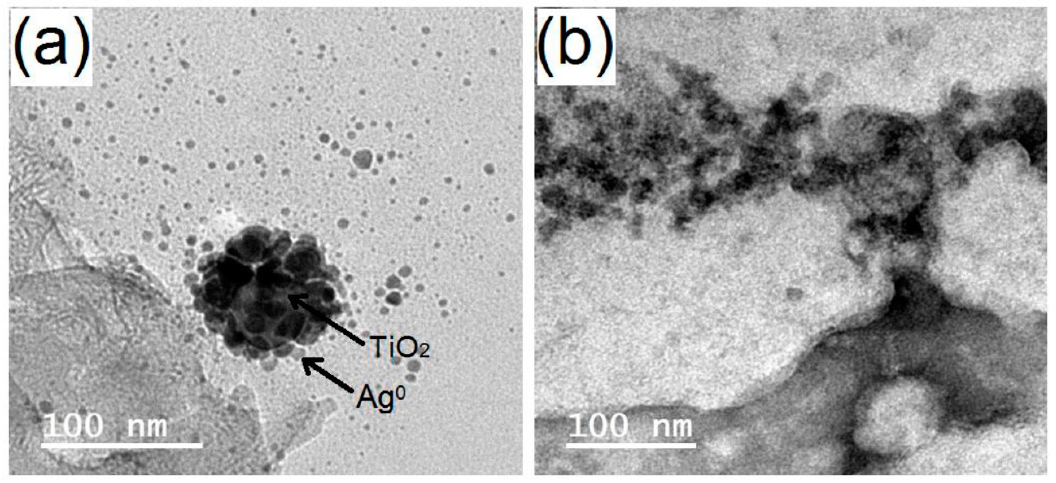 Polymers 13 03664 g002
