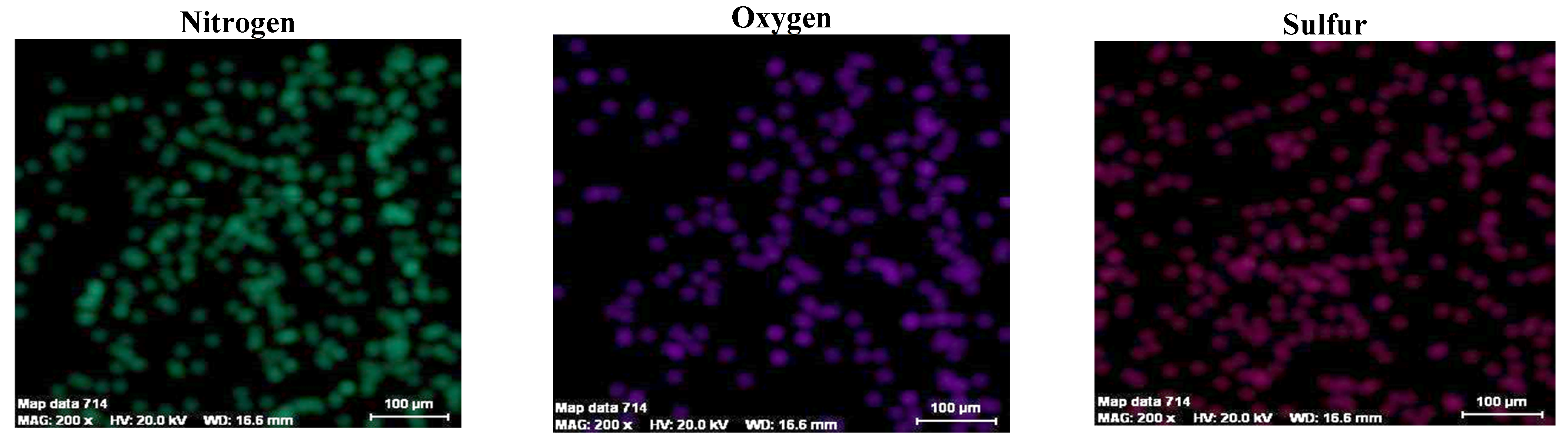 Polymers 13 03665 g011b 550