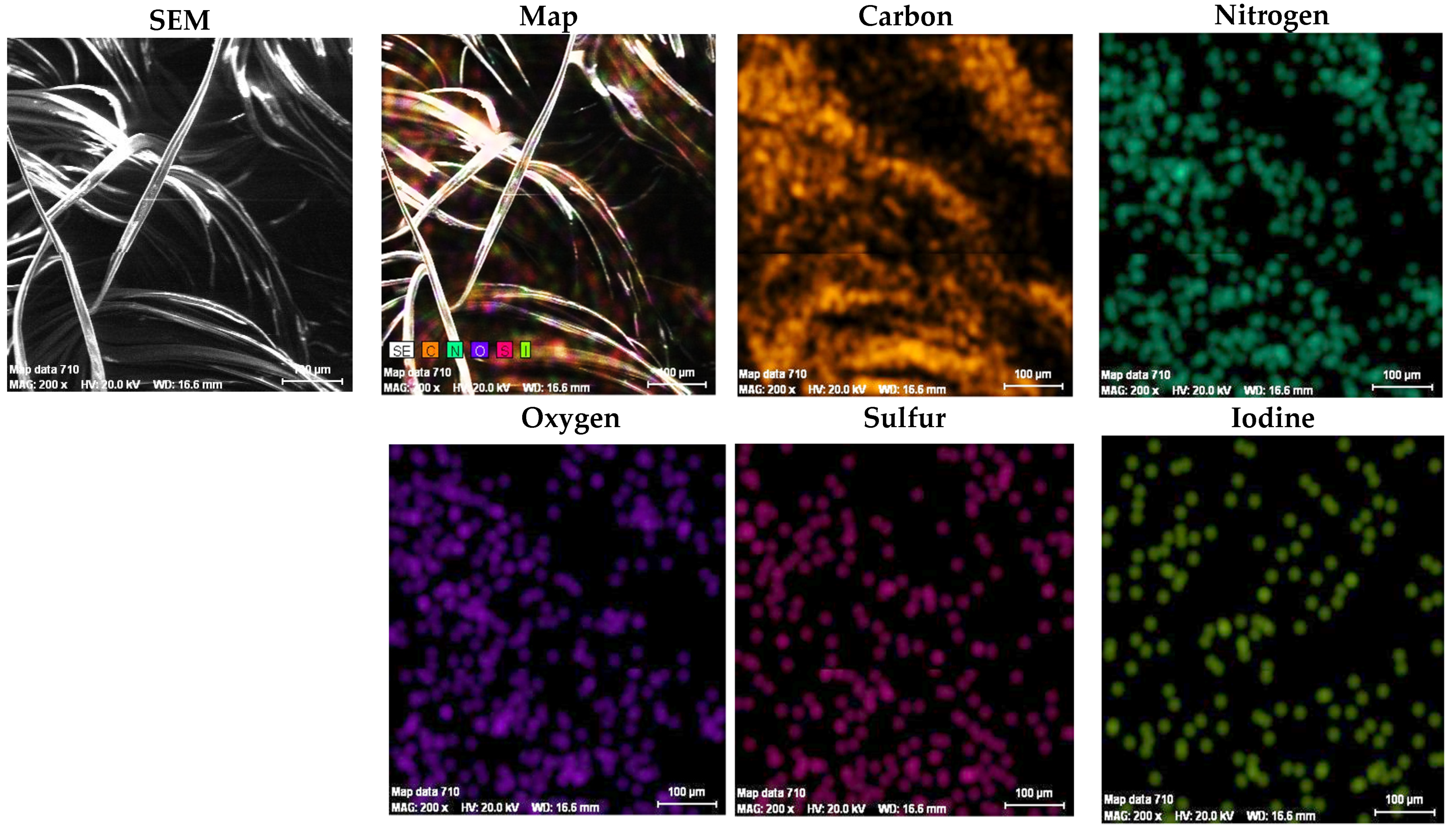 Polymers 13 03665 g012 550