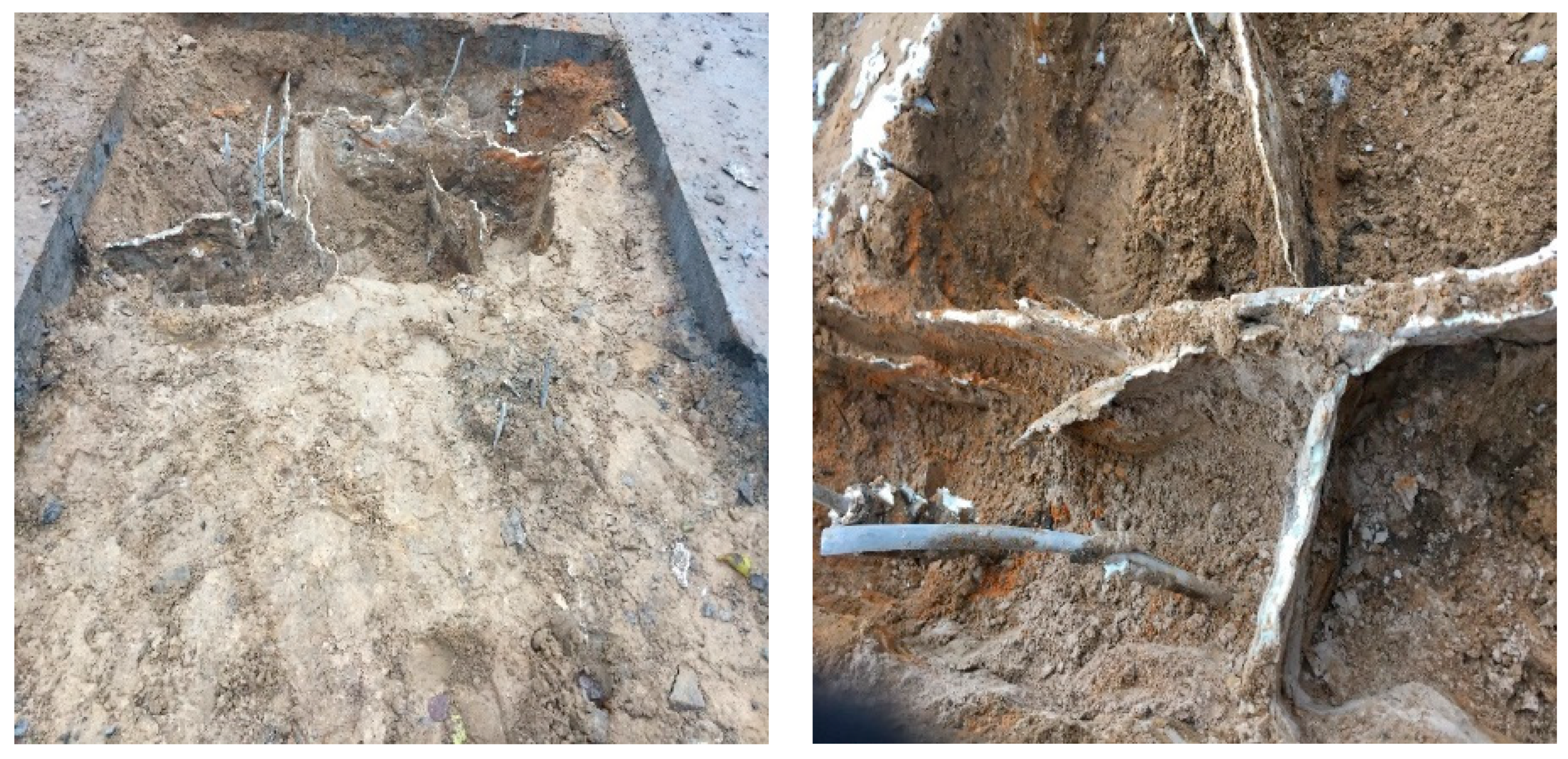 Polymers 13 03666 g002 Polymers 13 03666 g002