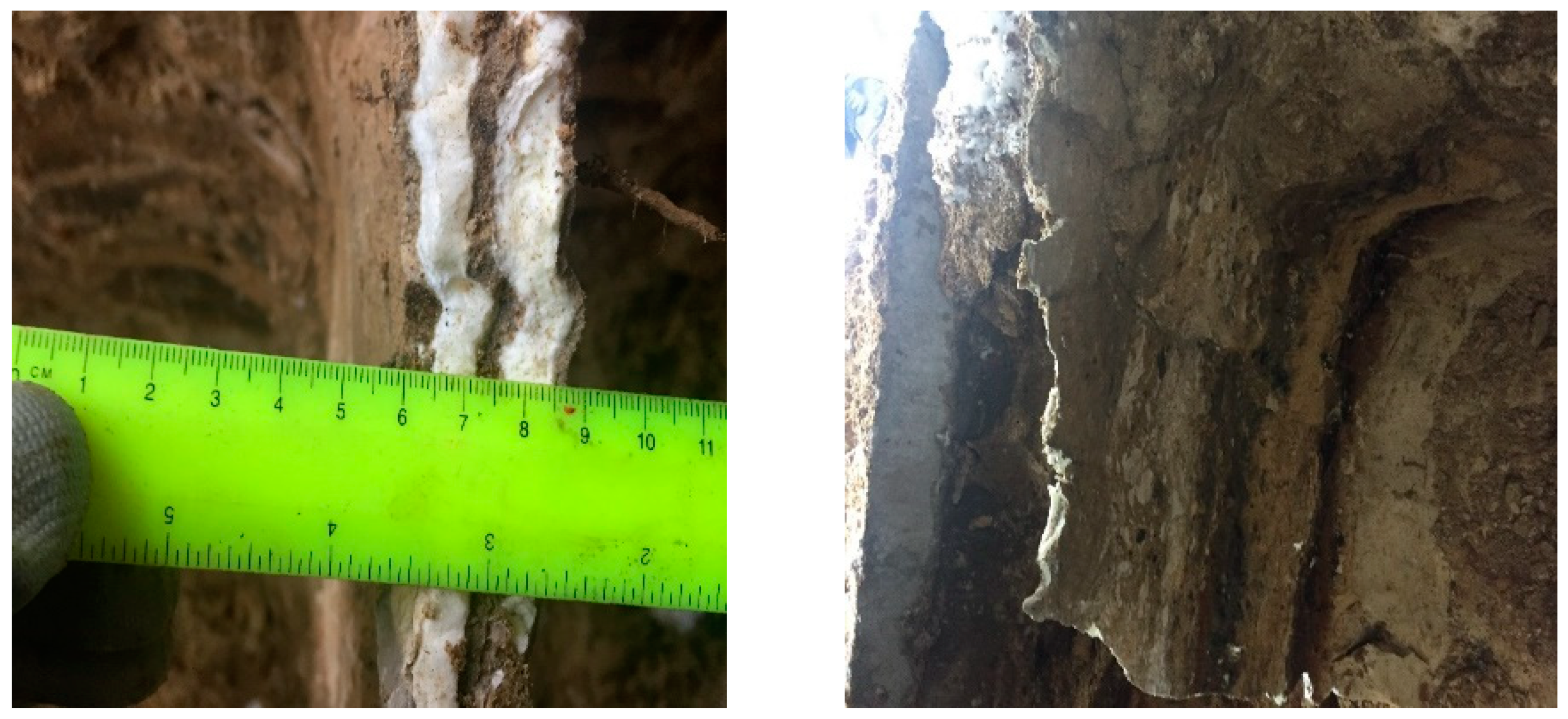 Polymers 13 03666 g003 Polymers 13 03666 g003