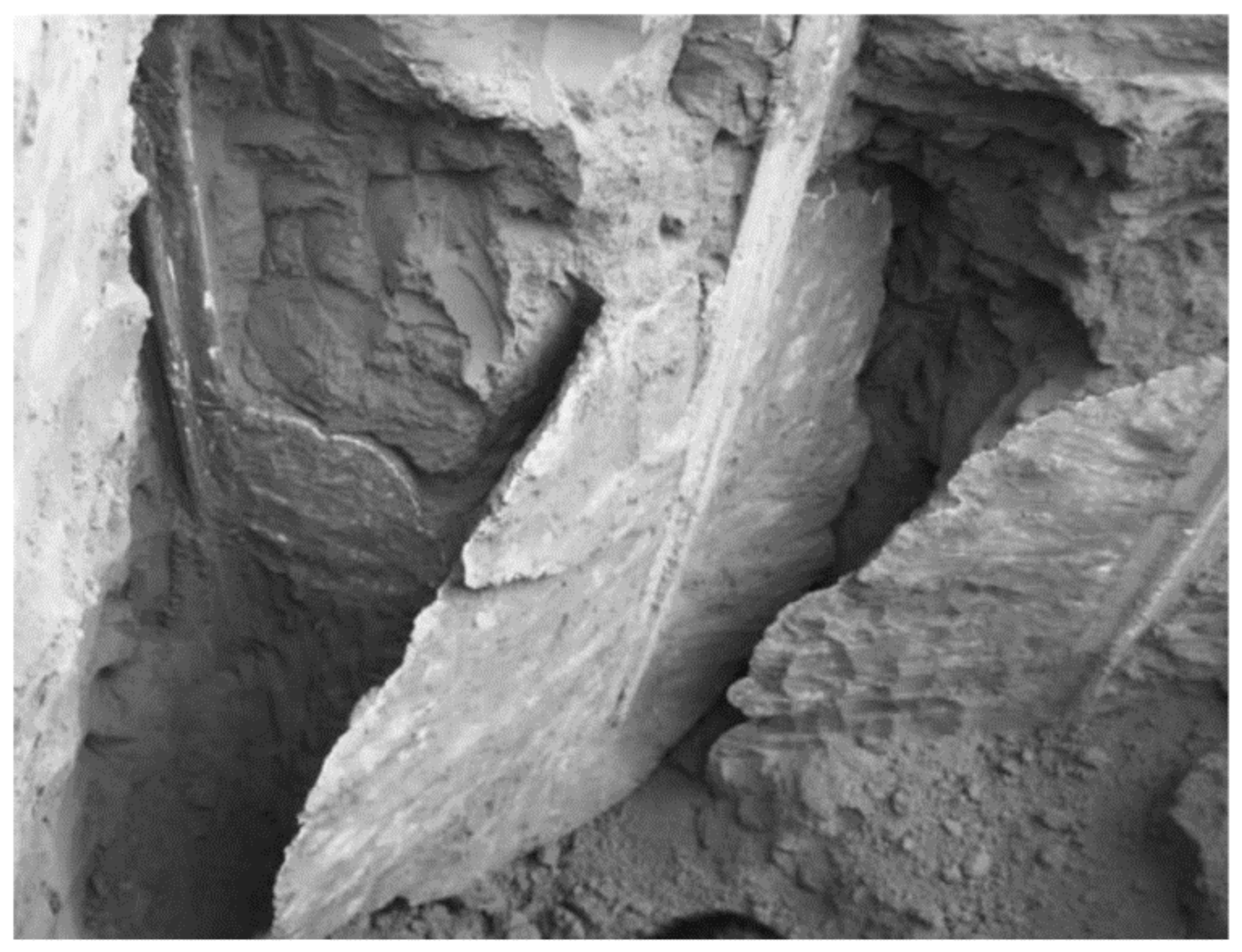 Polymers 13 03666 g004 Polymers 13 03666 g004