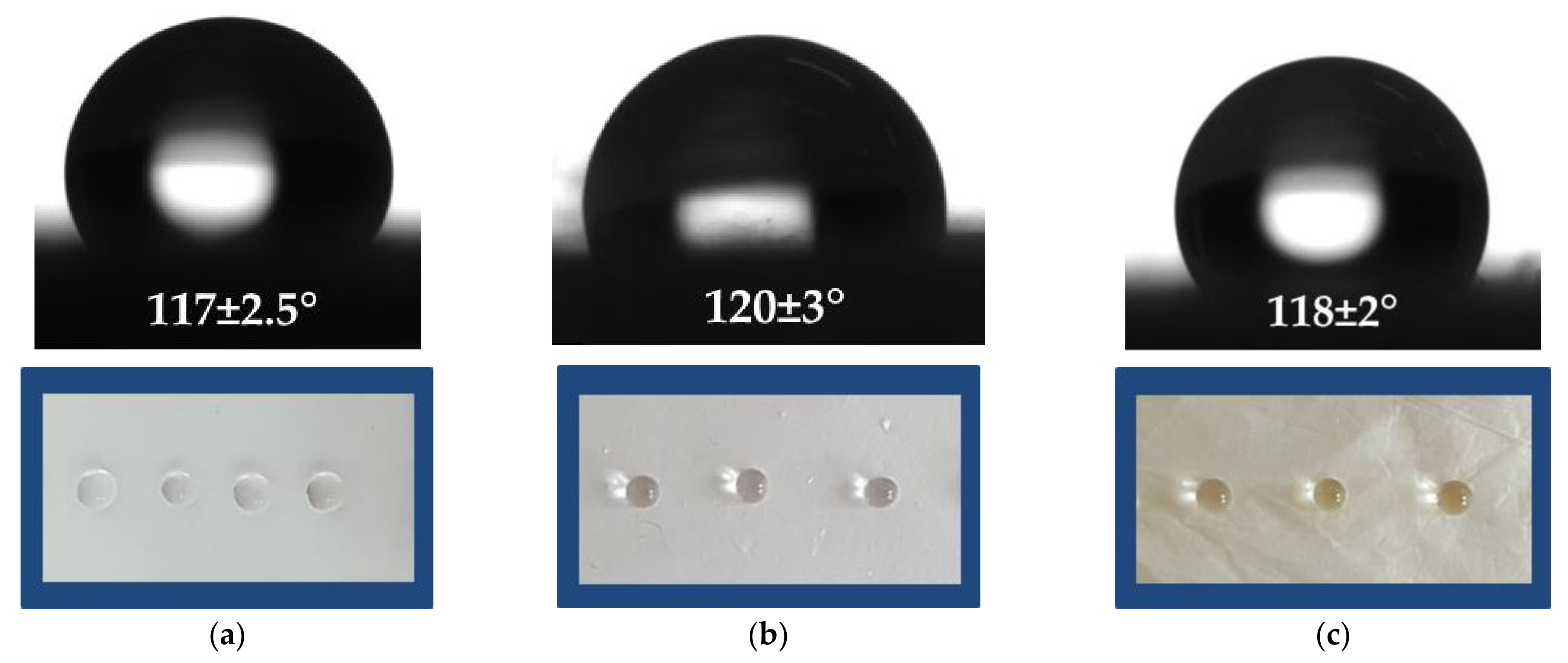 Polymers 13 03673 g002