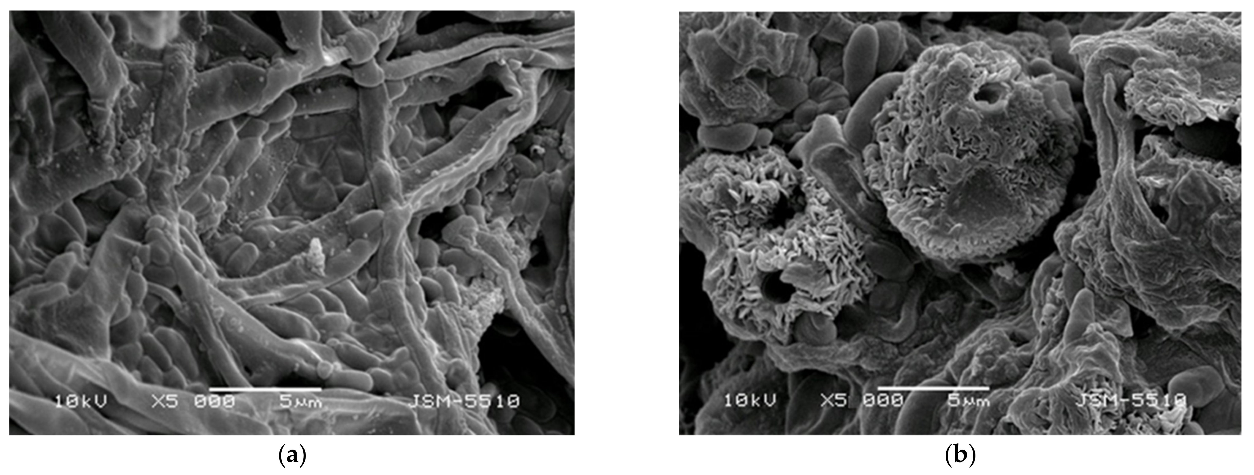 Polymers 13 03673 g008