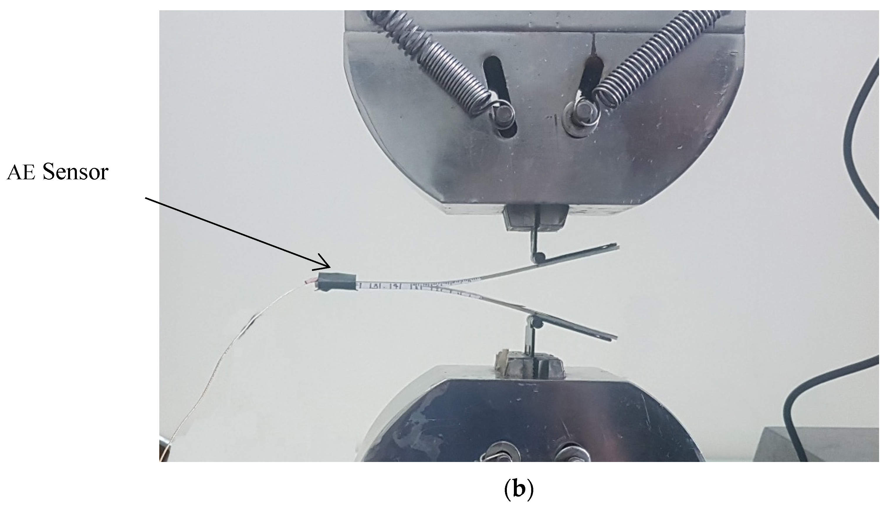 Polymers 13 03680 g004b 550