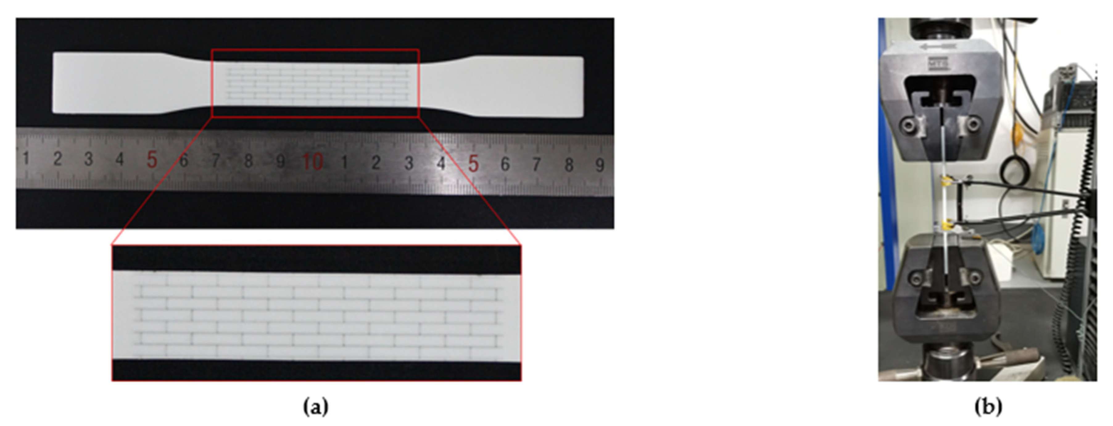 Polymers 13 03681 g003