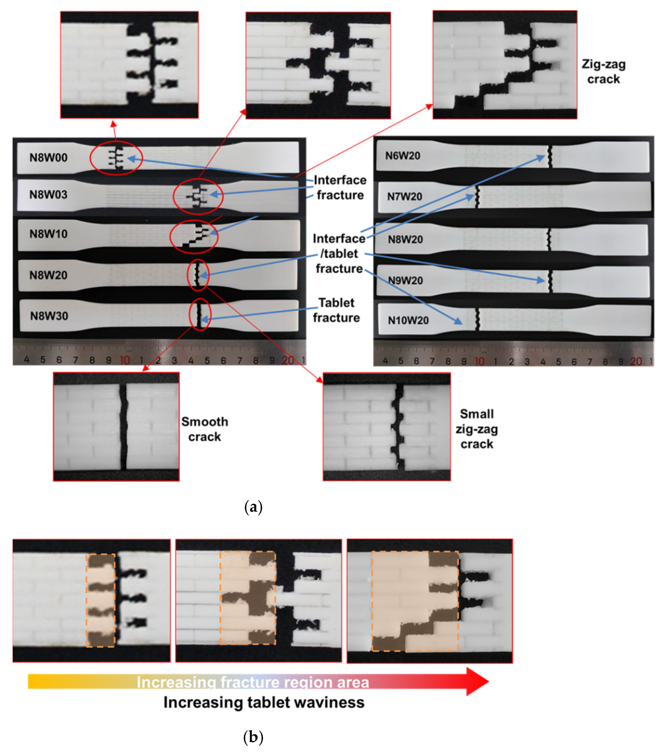Polymers 13 03681 g008a