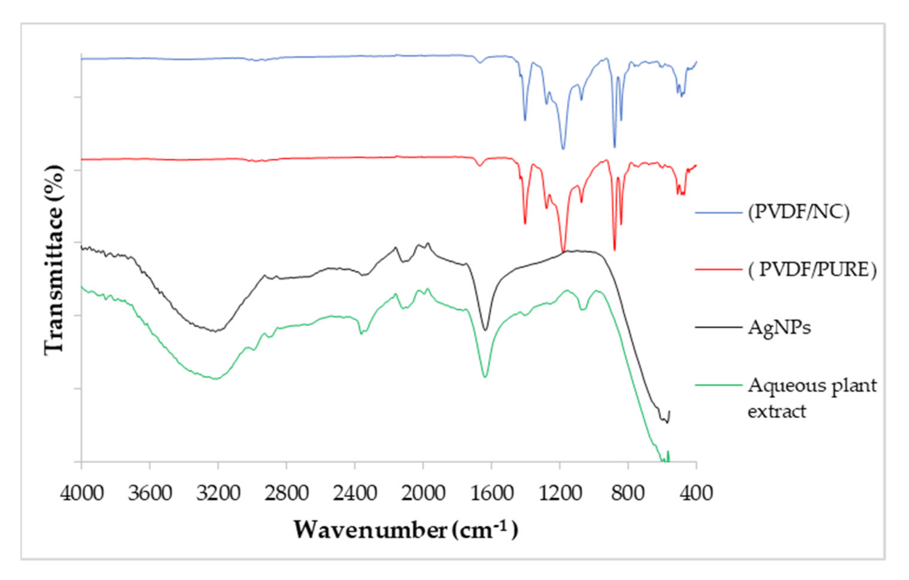 Polymers 13 03683 g006 550
