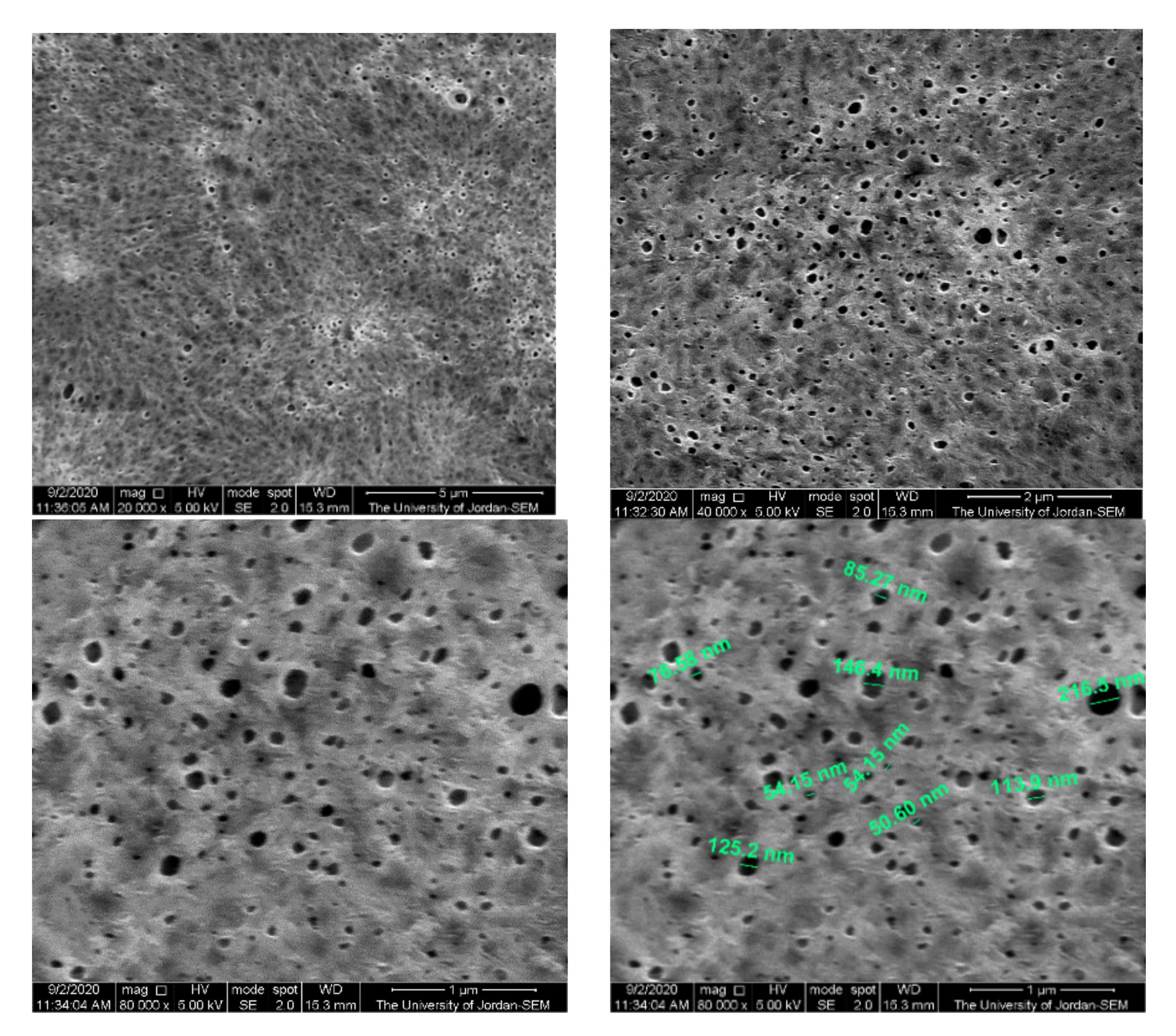 Polymers 13 03683 g011 550