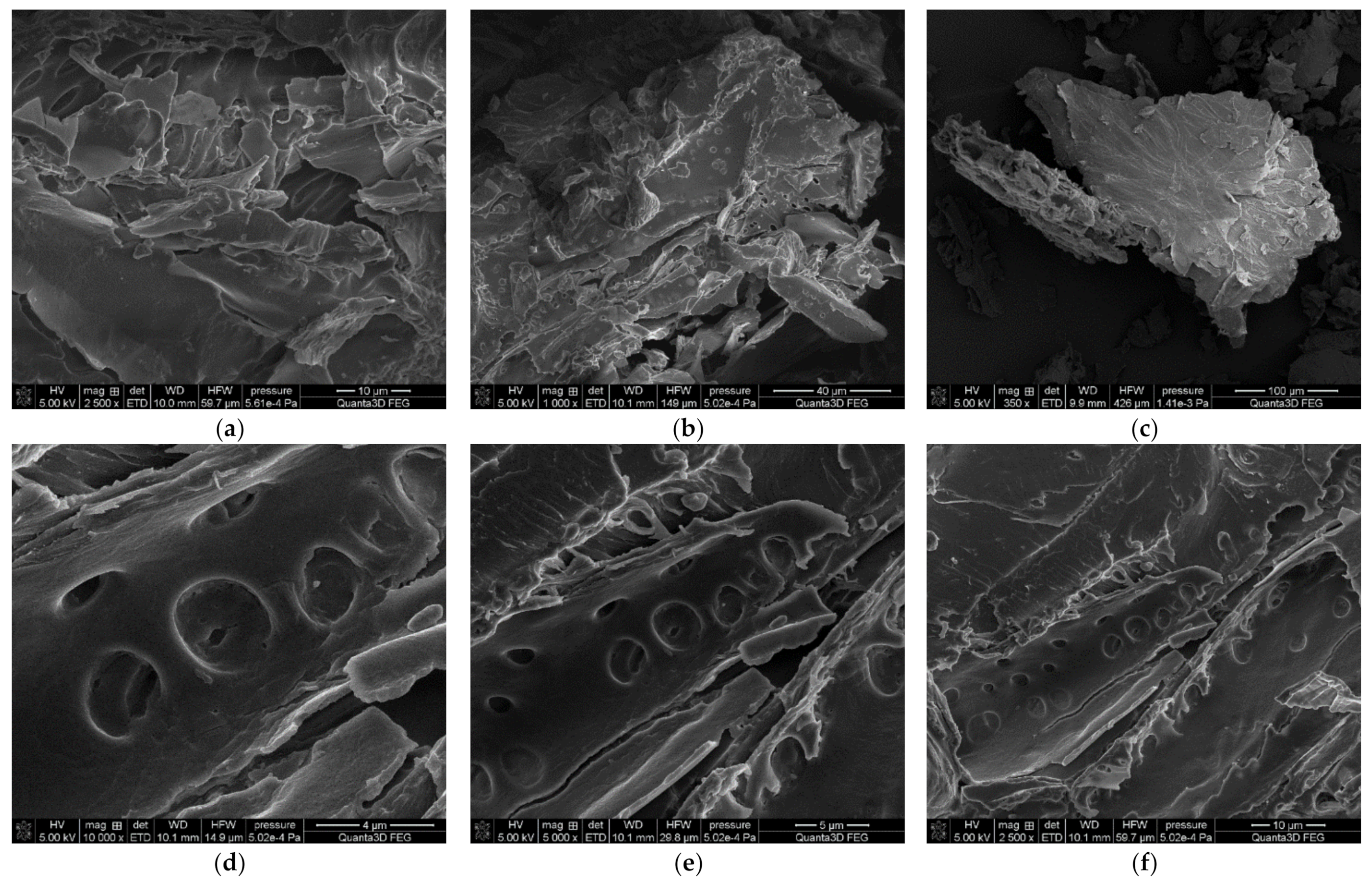 Polymers 13 03690 g001