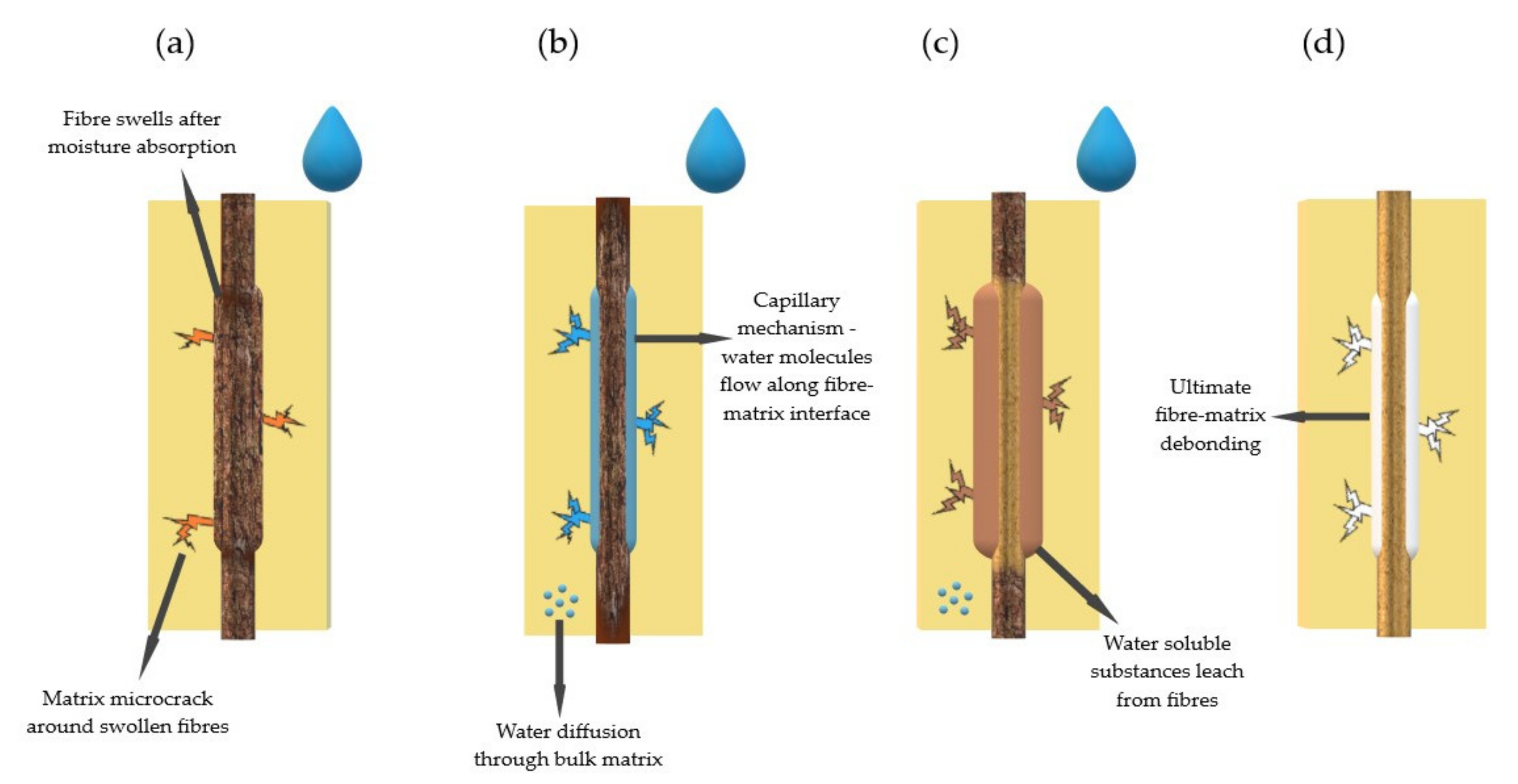 Polymers 13 03690 g005