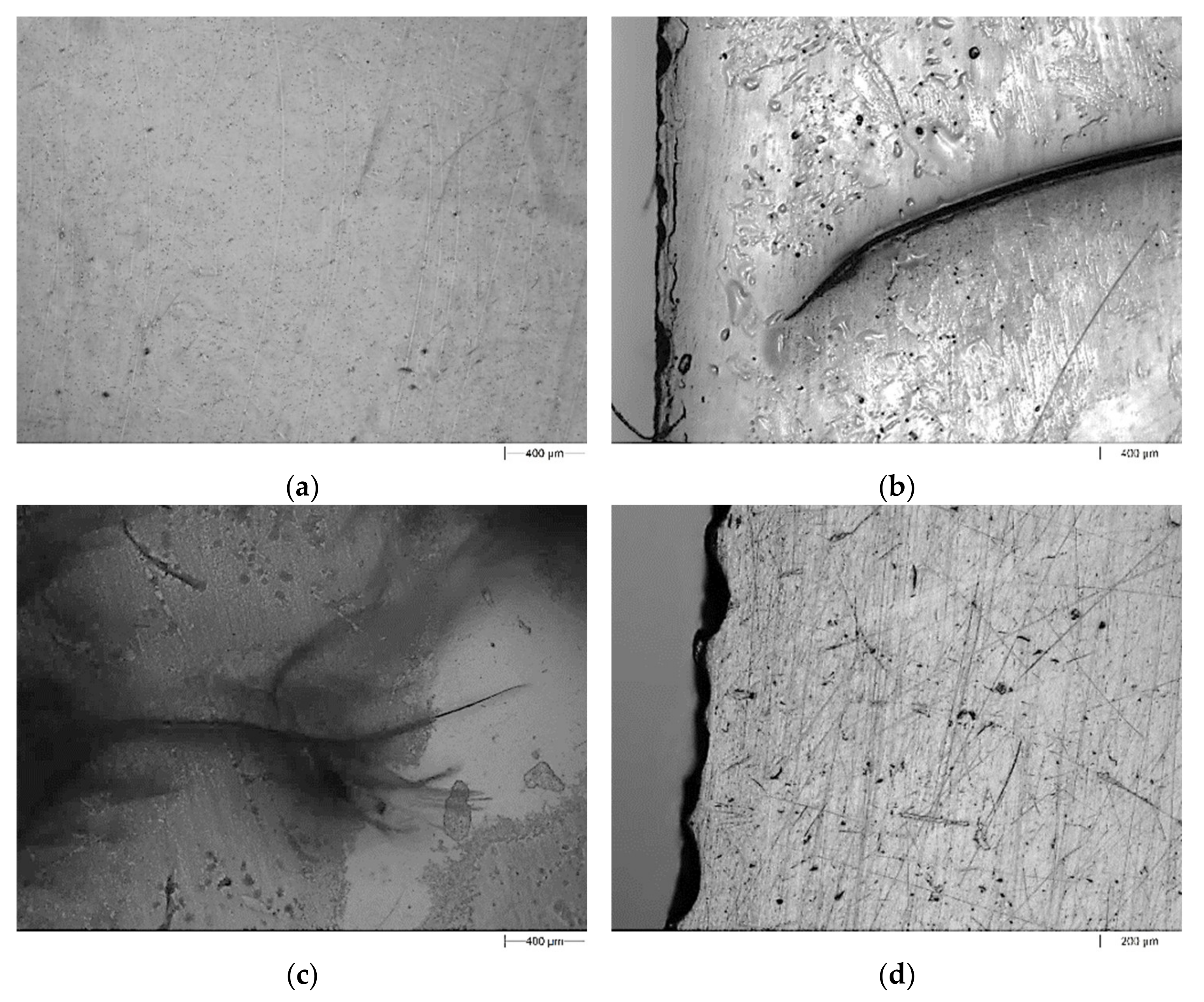 Polymers 13 03690 g009