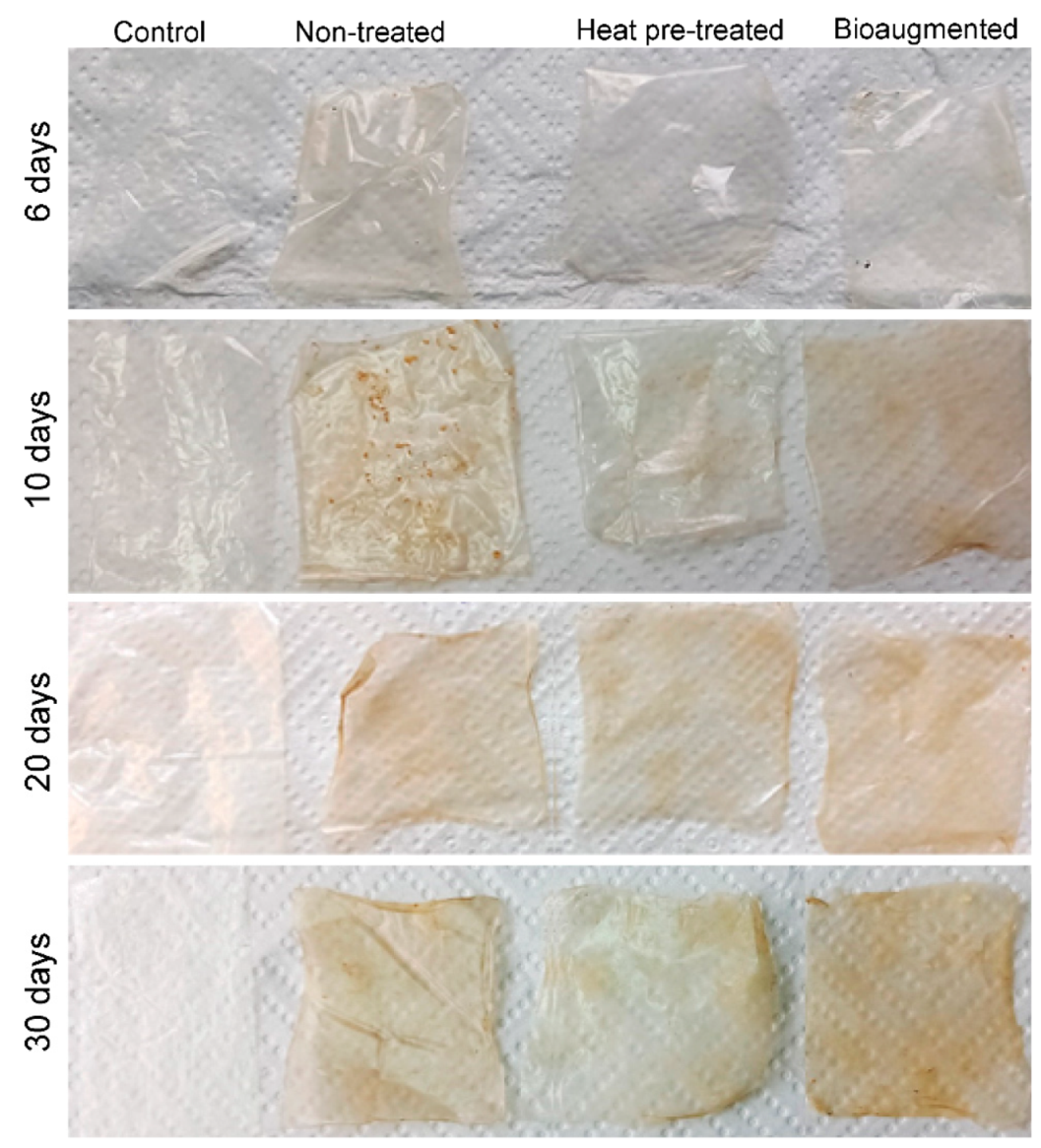 Polymers 13 03692 g005