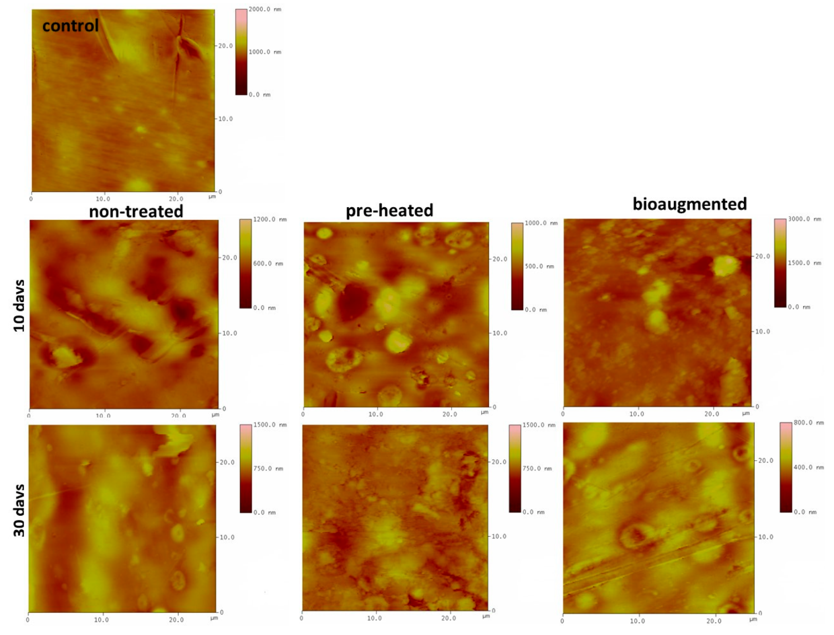 Polymers 13 03692 g007