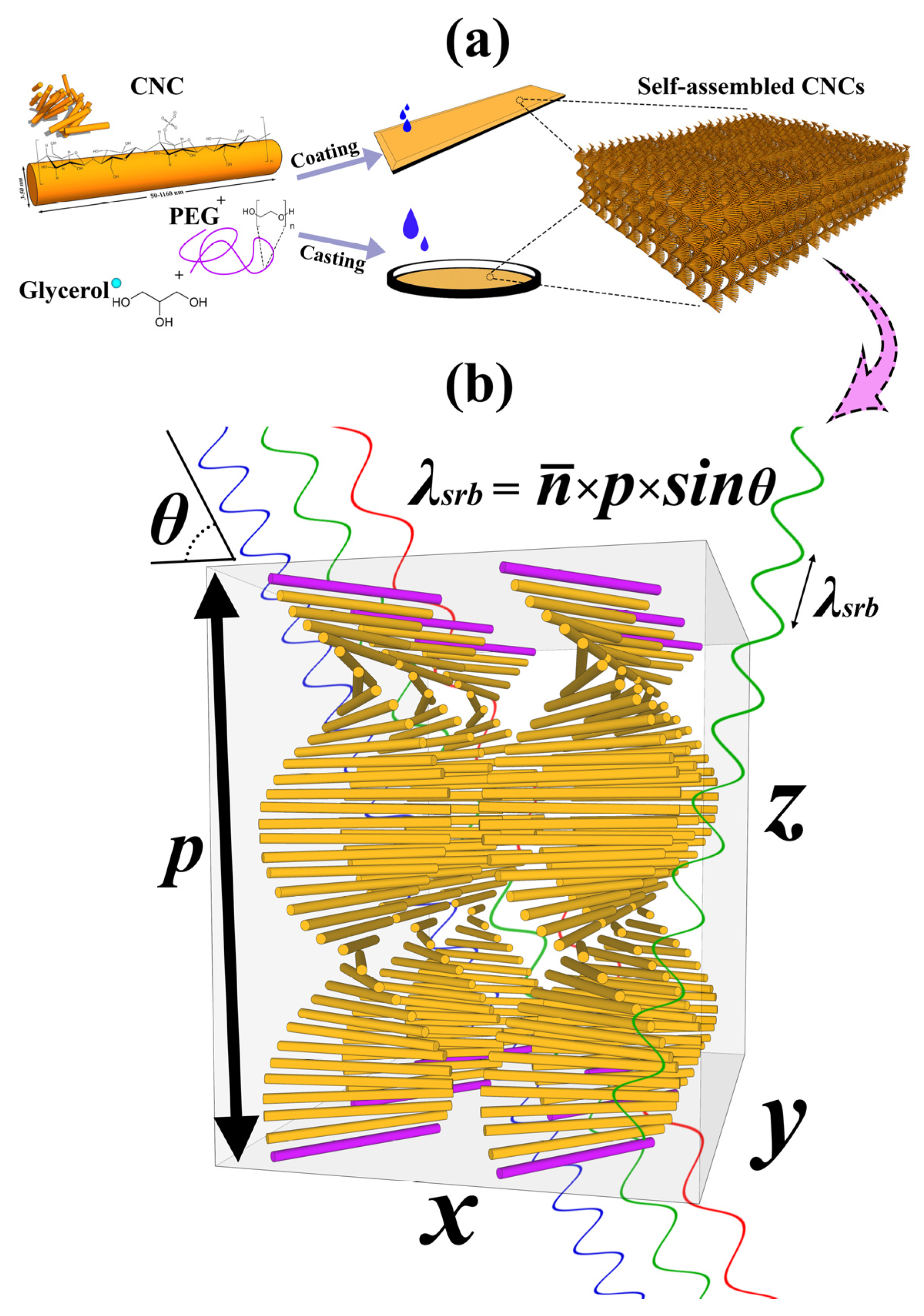 Polymers 13 03695 g001
