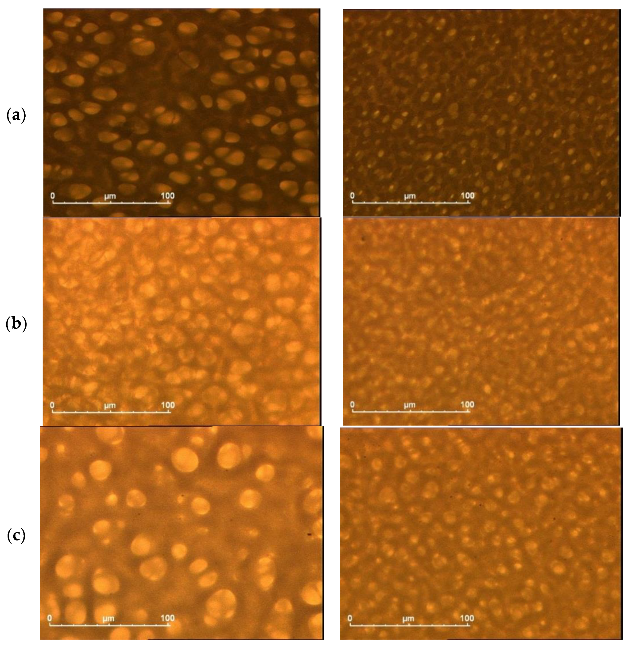 Polymers 13 03704 g004