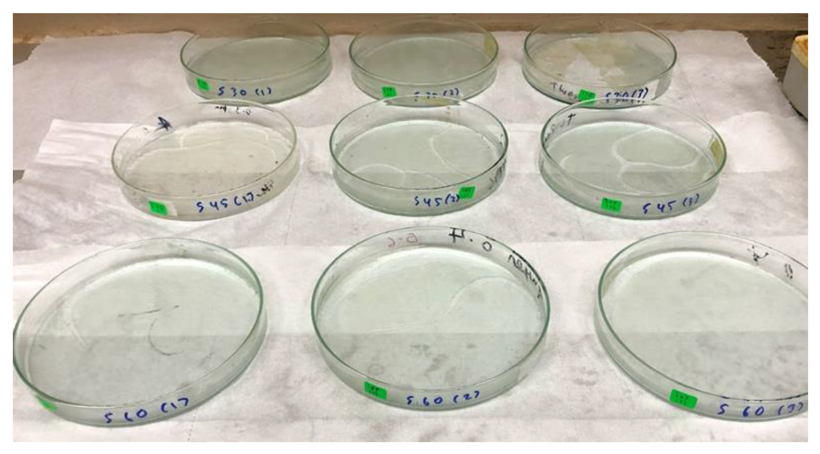 Polymers 13 03709 g001