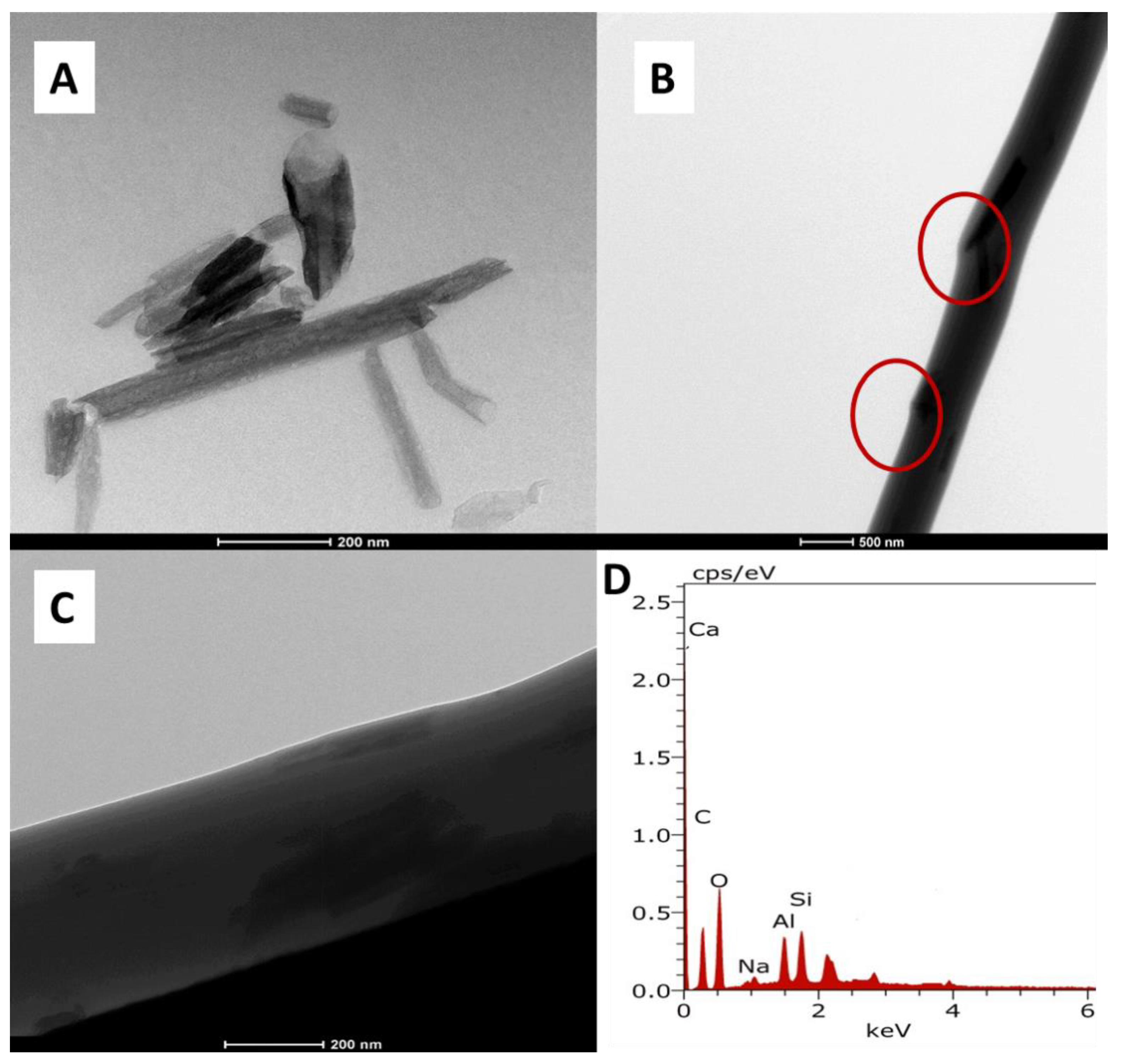 Polymers 13 03710 g002