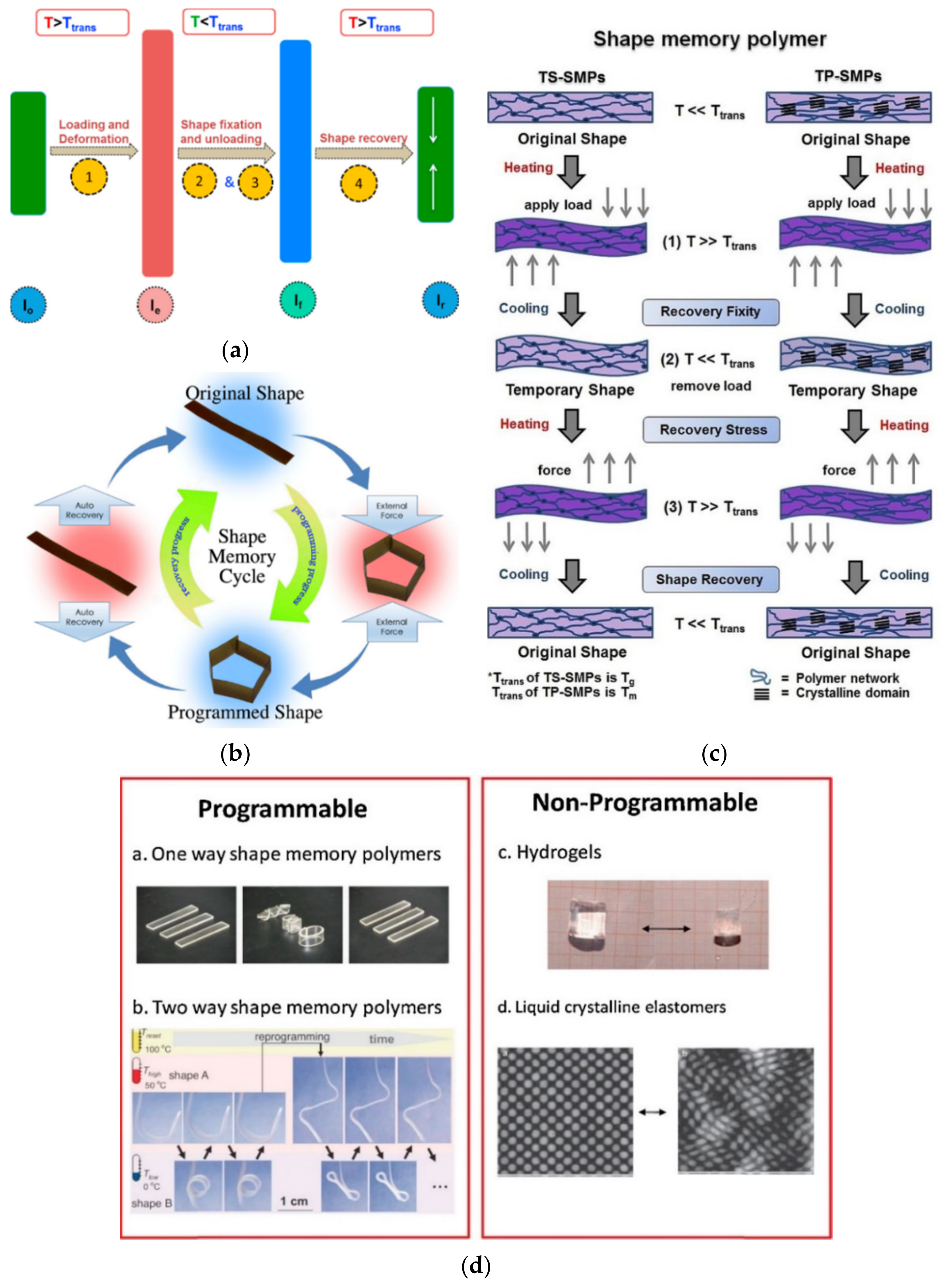 Polymers 13 03711 g010 Polymers 13 03711 g010
