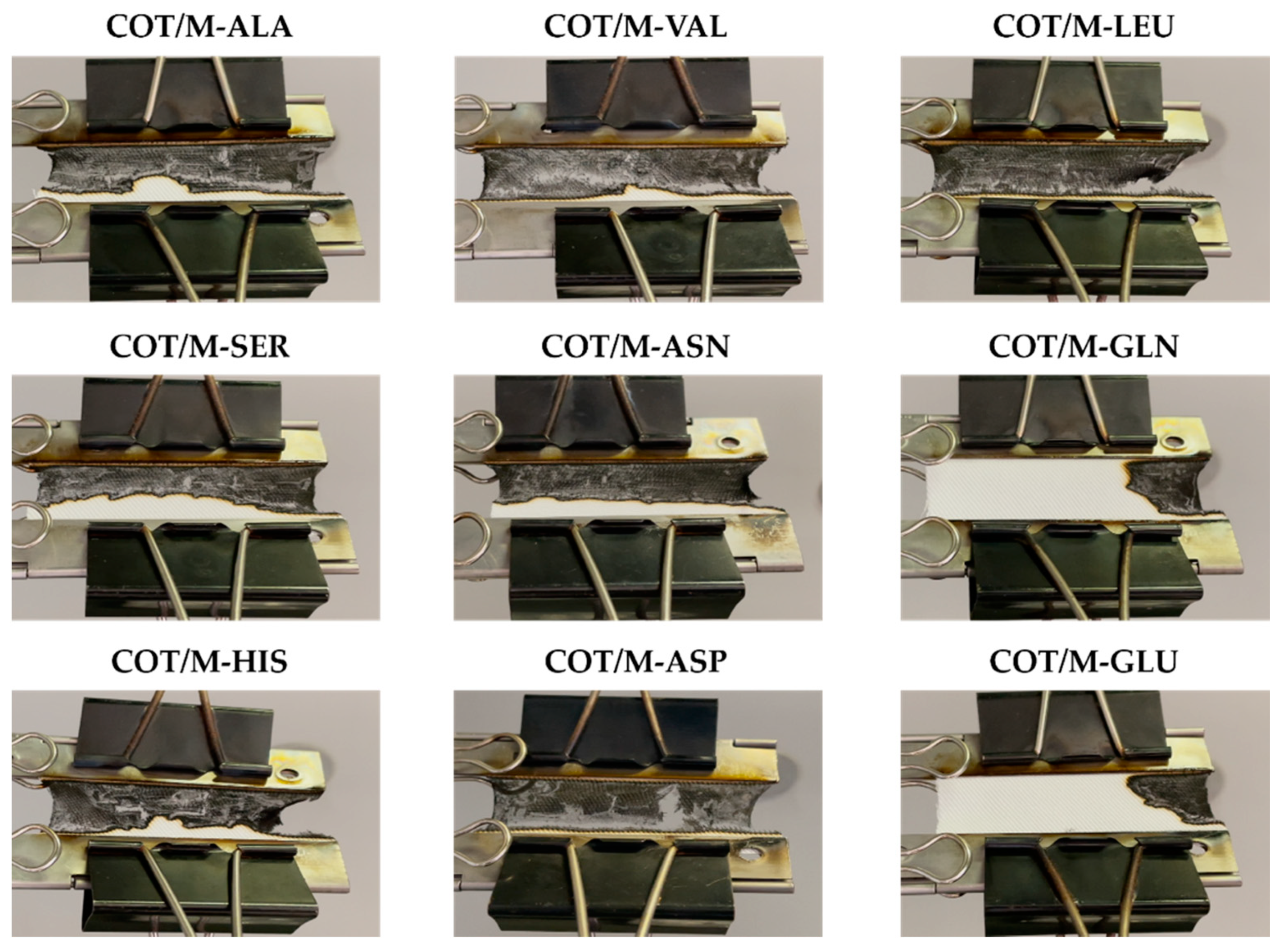 Polymers 13 03714 g008