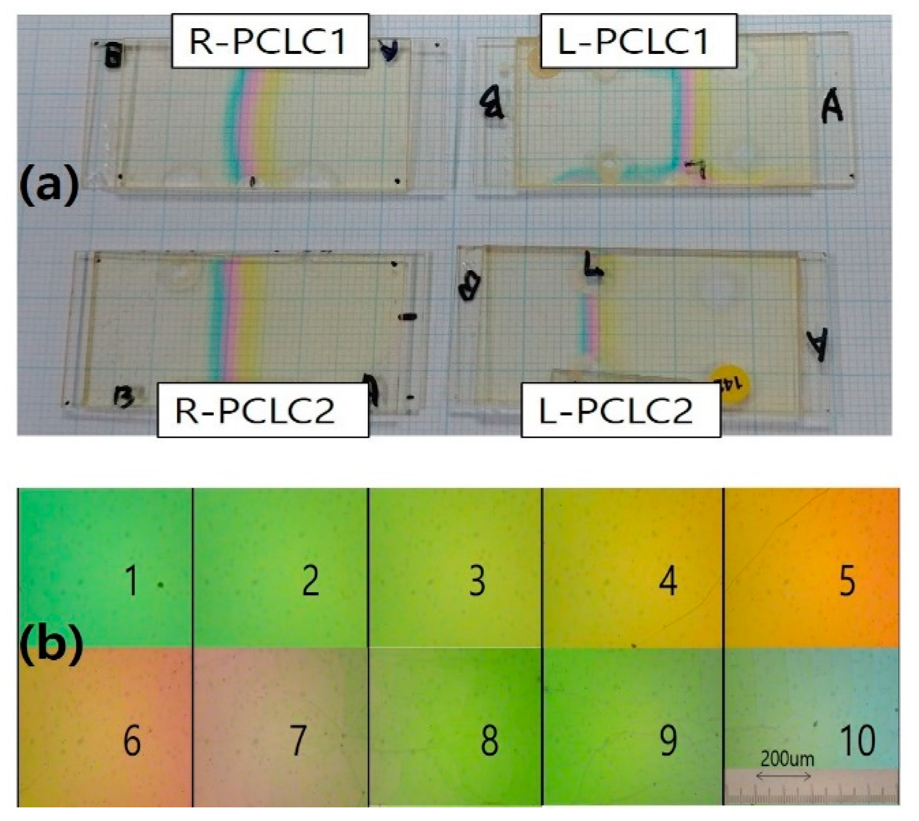 Polymers 13 03720 g003 550