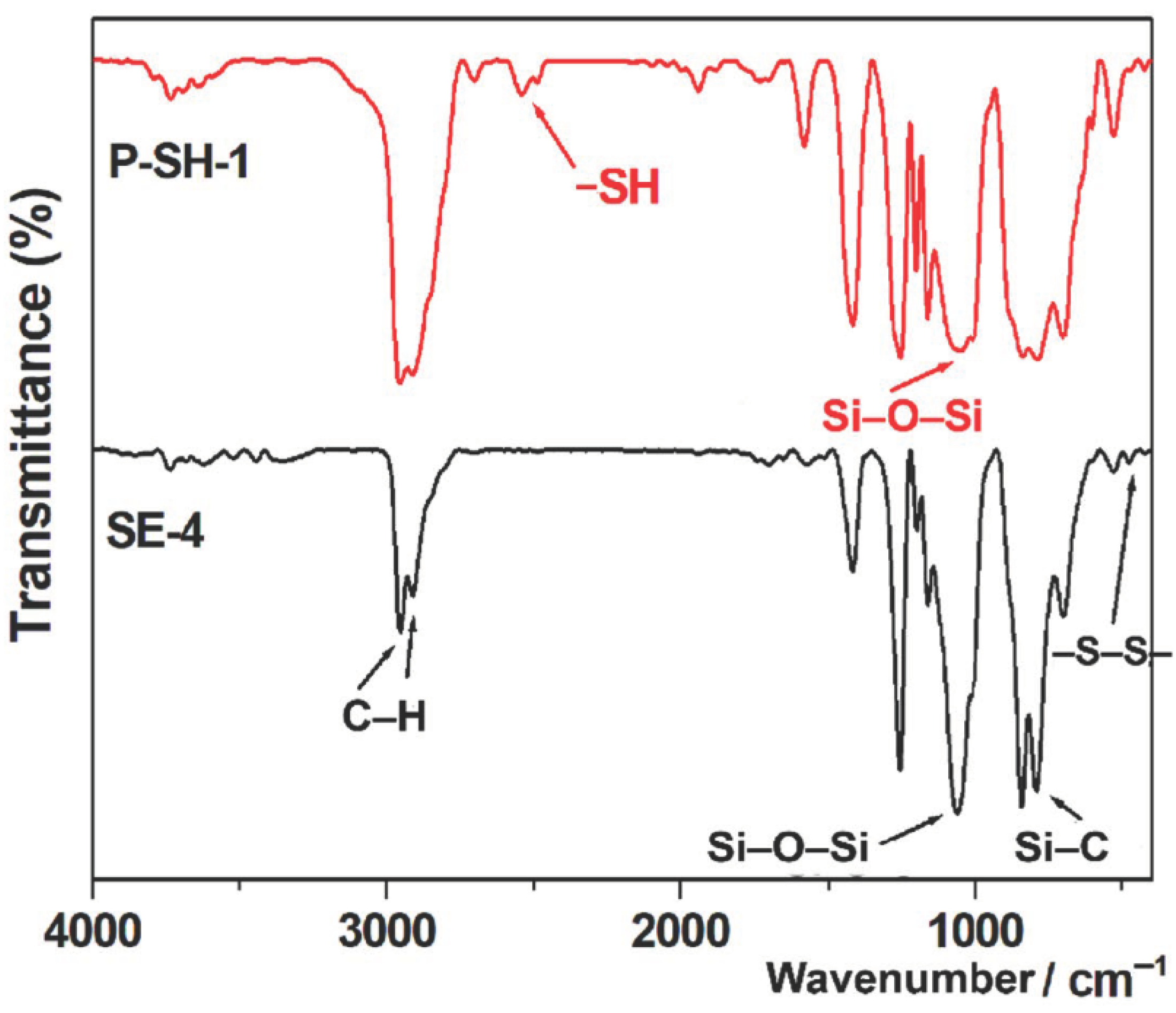 Polymers 13 03729 g001