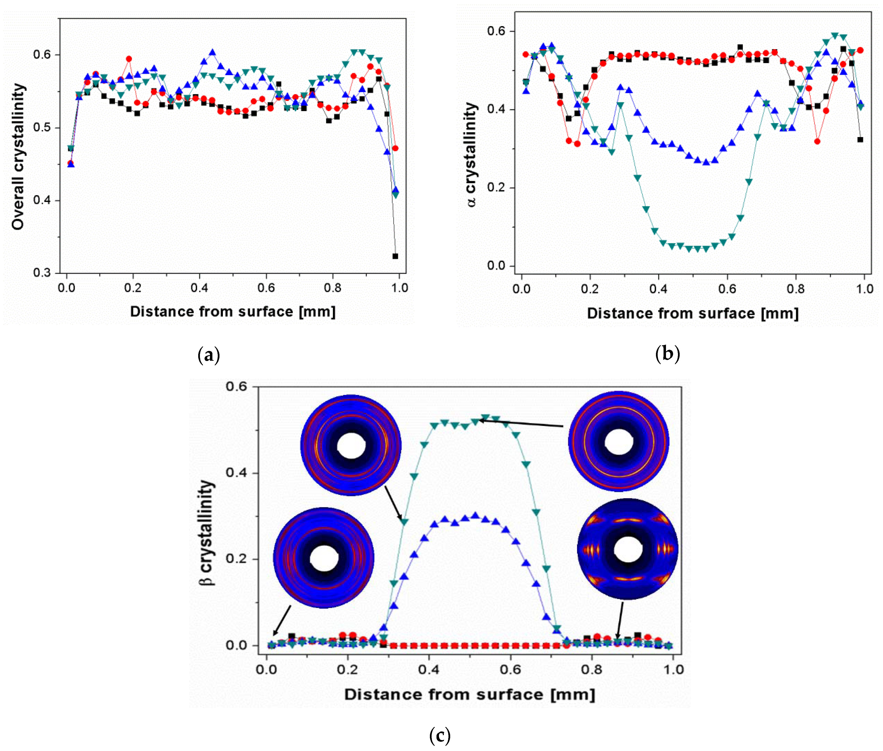 Polymers 13 03730 g002a