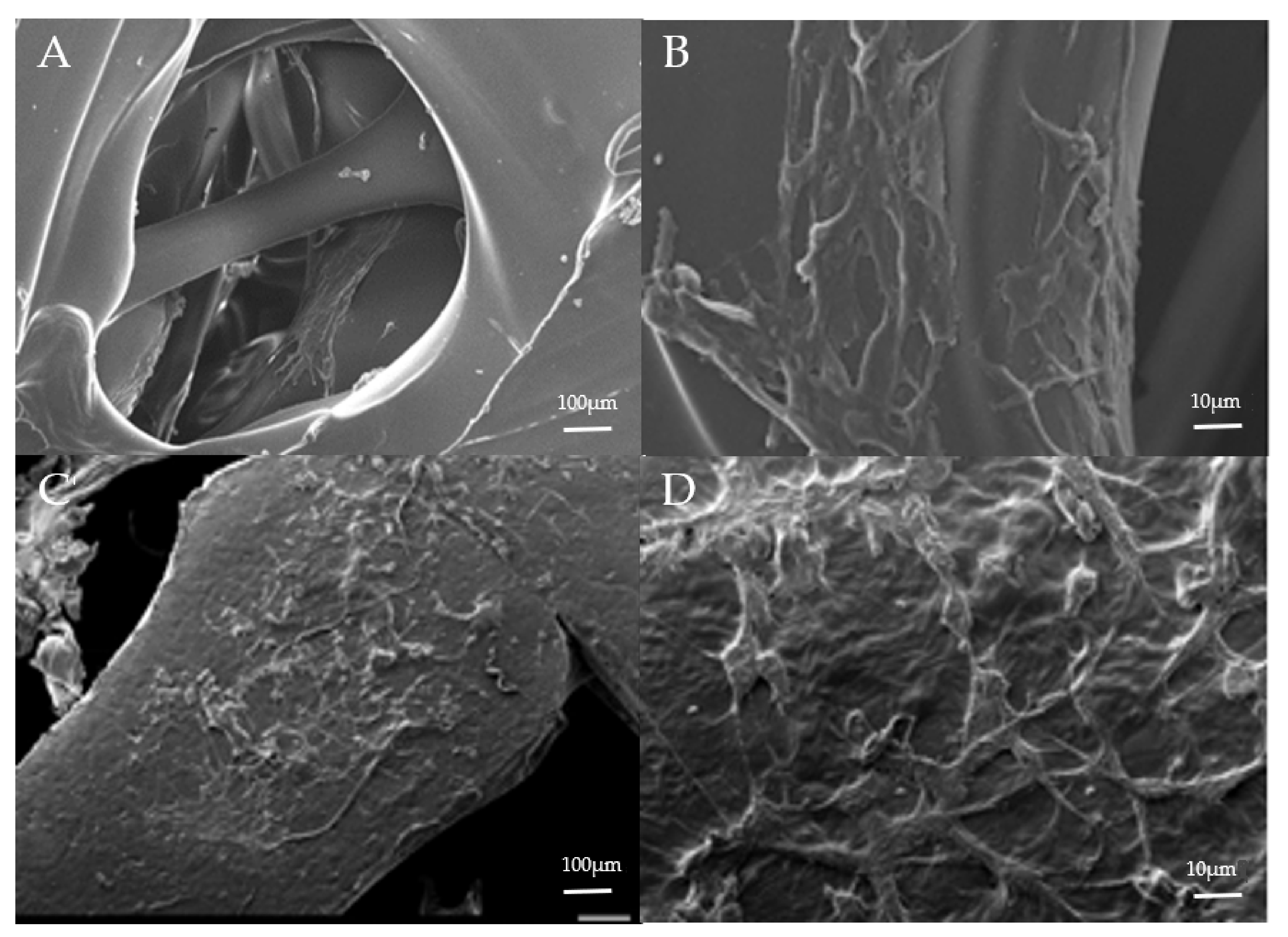 Polymers 13 03731 g005 Polymers 13 03731 g005