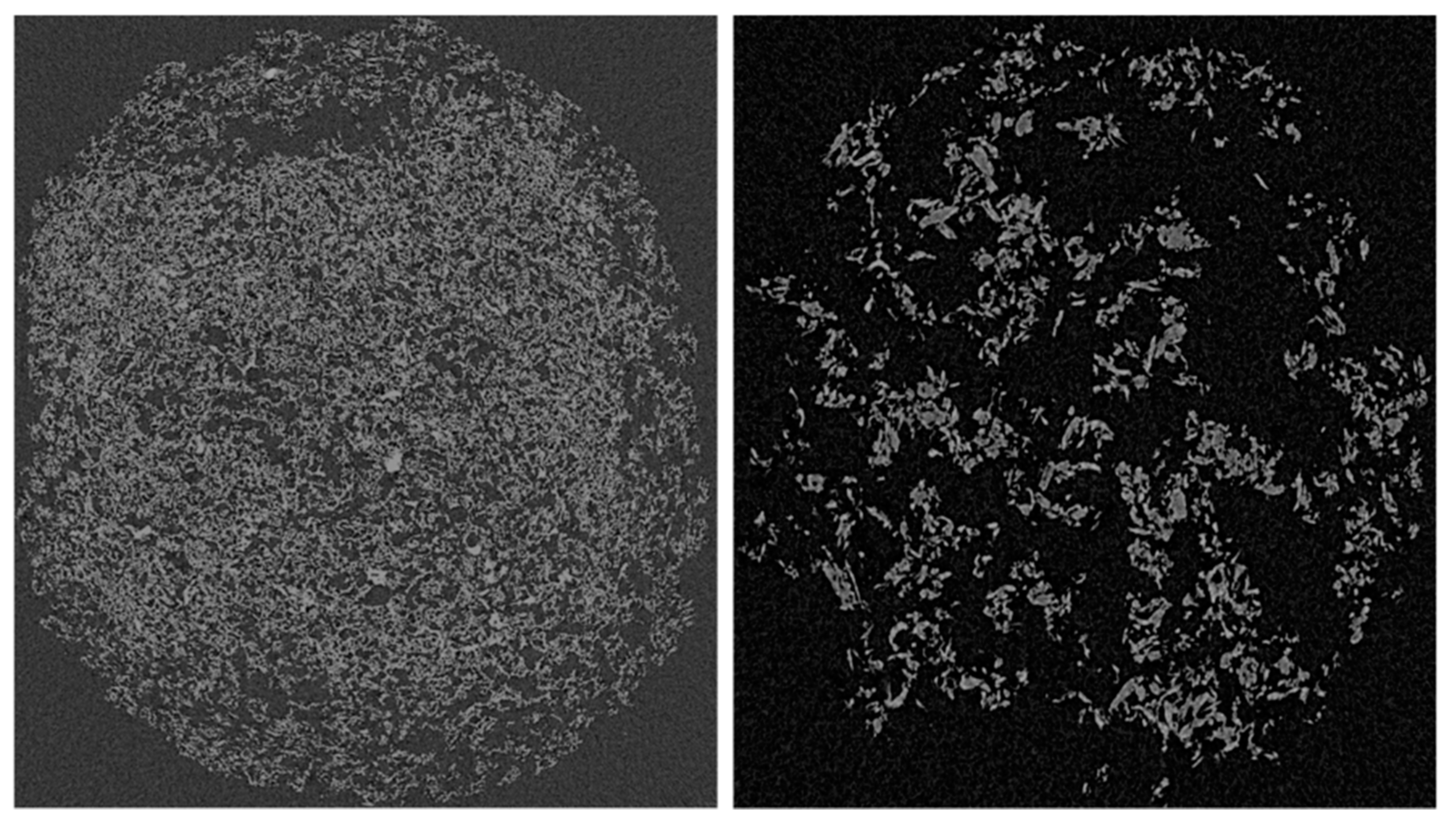 Polymers 13 03733 g001
