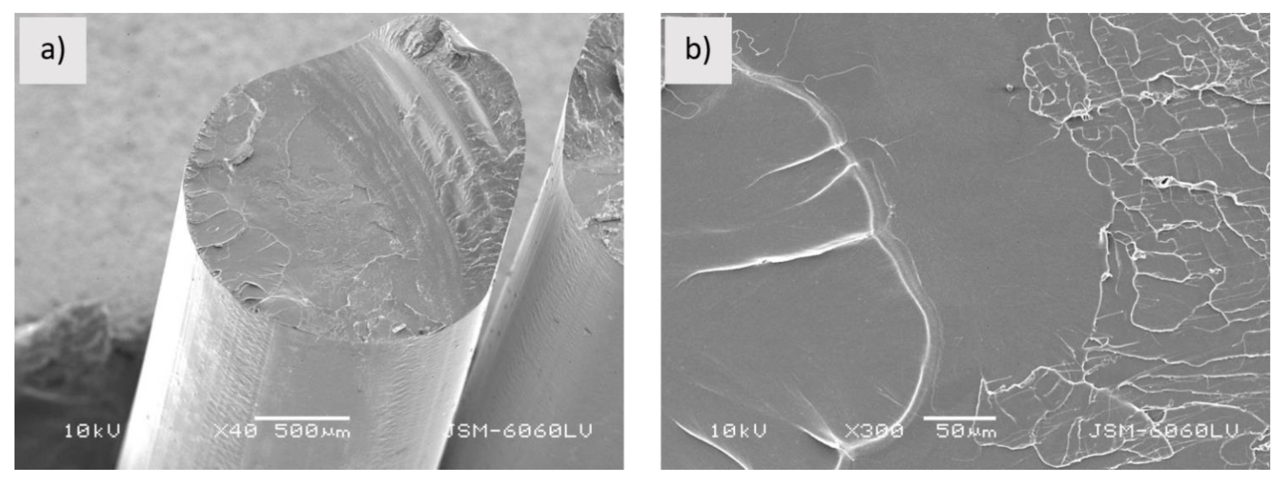 Polymers 13 03738 g001