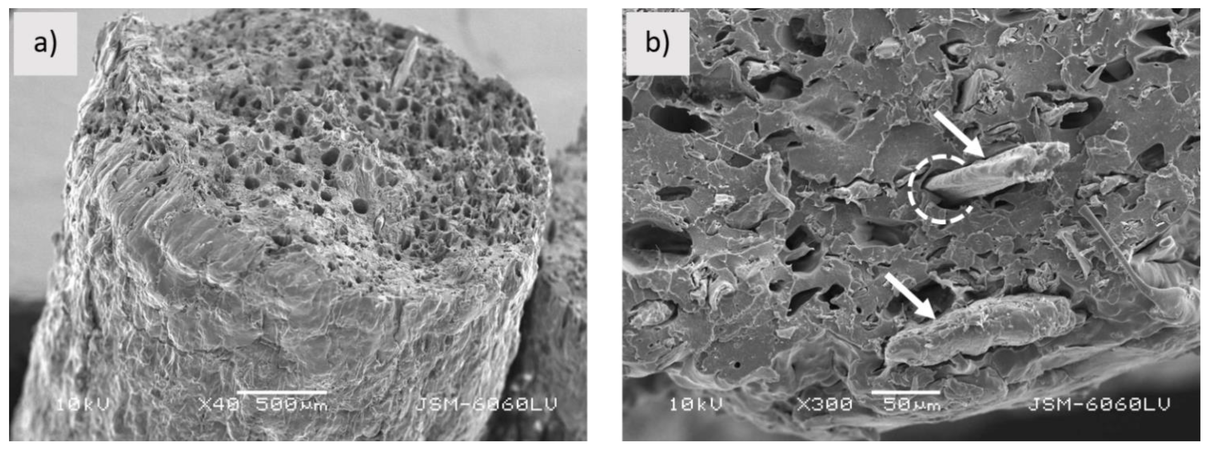 Polymers 13 03738 g002