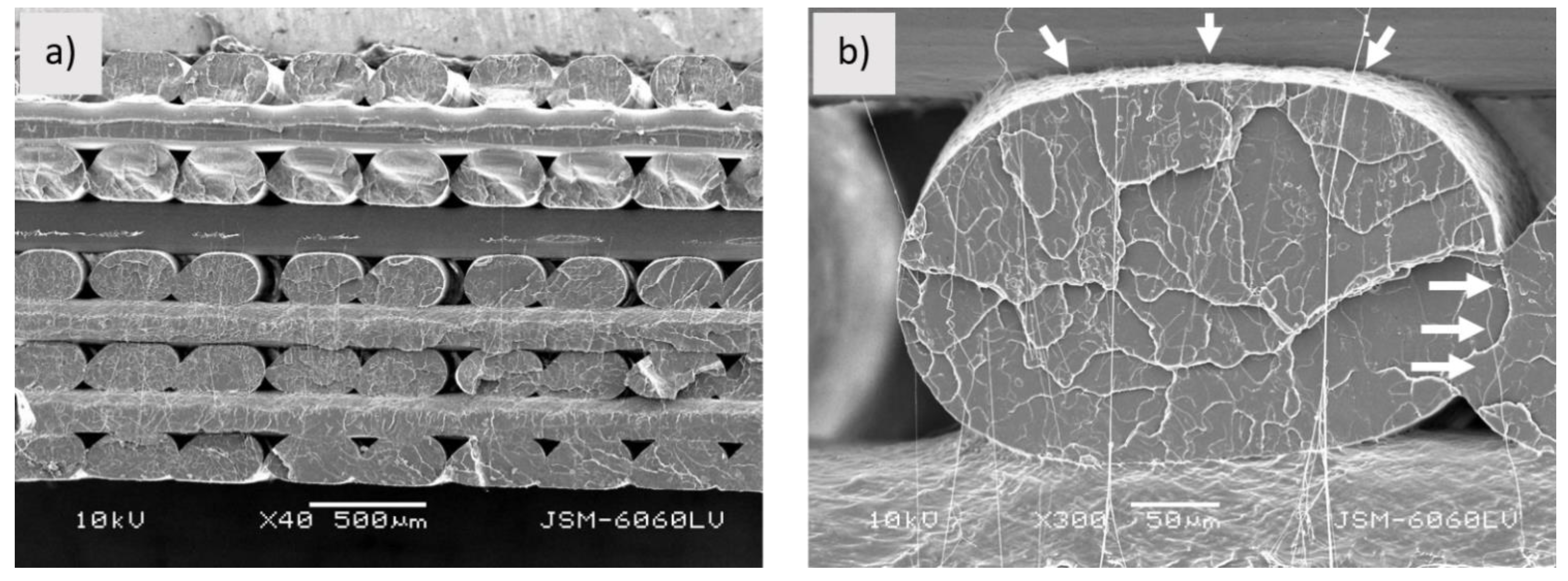 Polymers 13 03738 g004