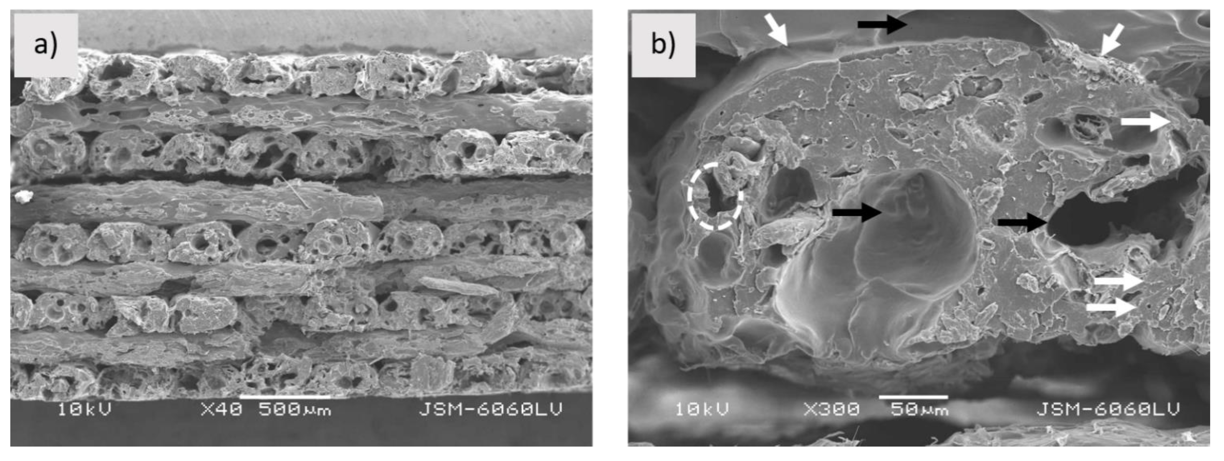 Polymers 13 03738 g005