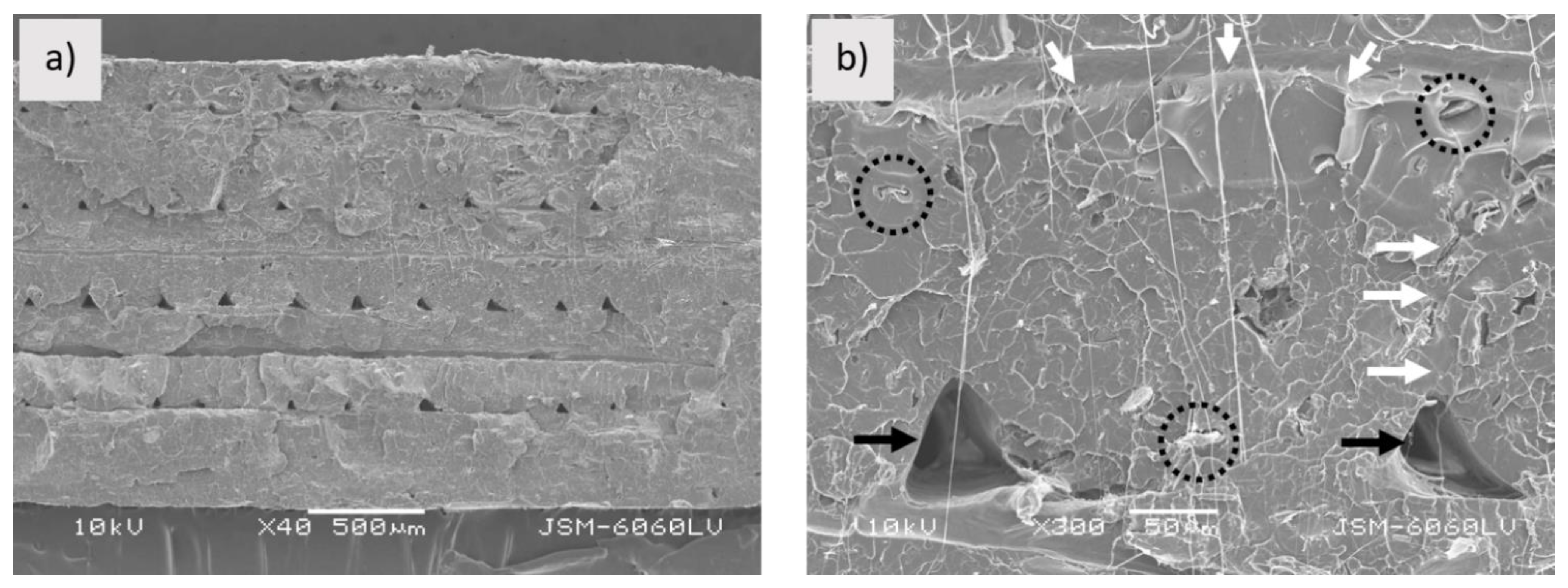Polymers 13 03738 g006