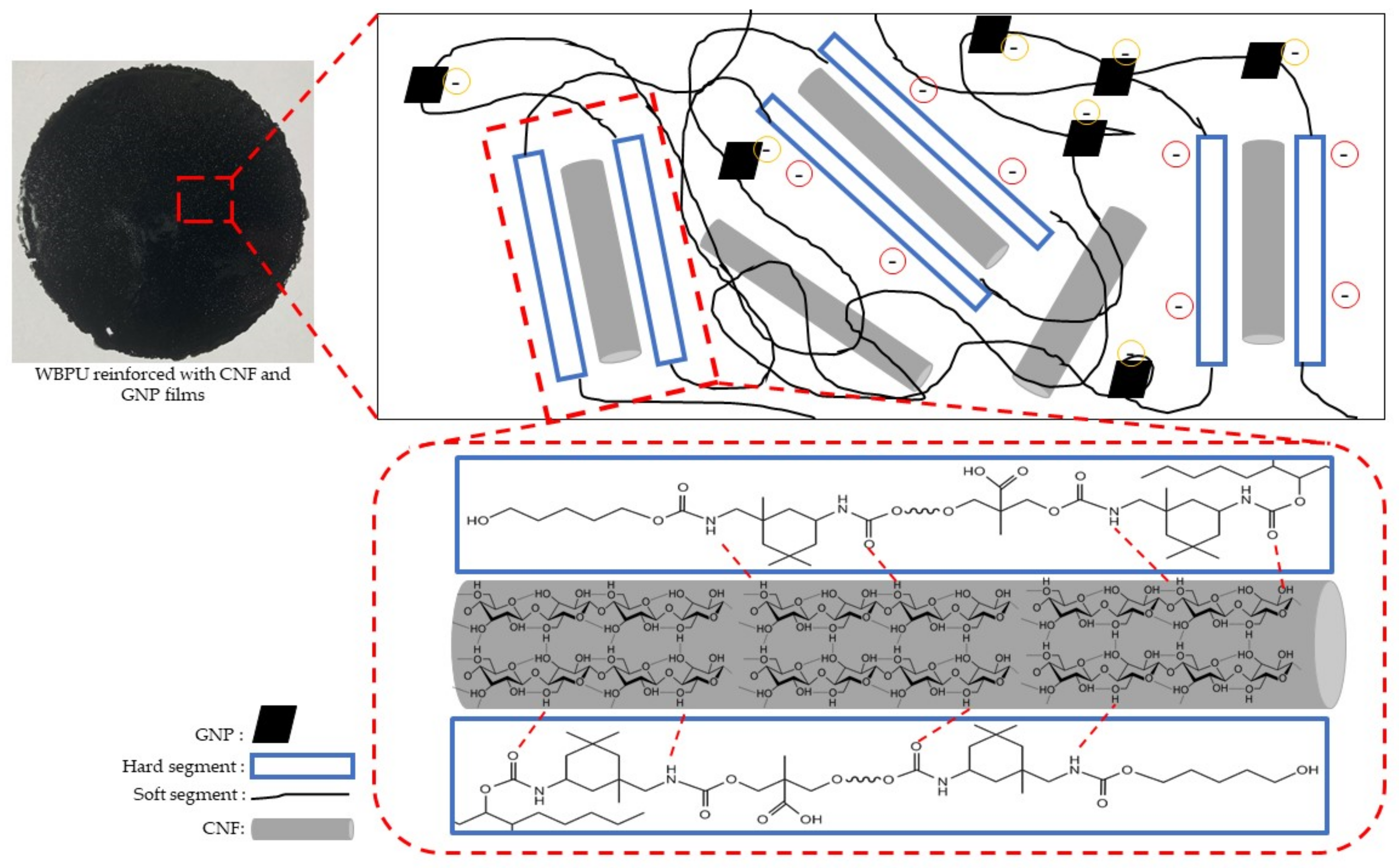 Polymers 13 03740 g005