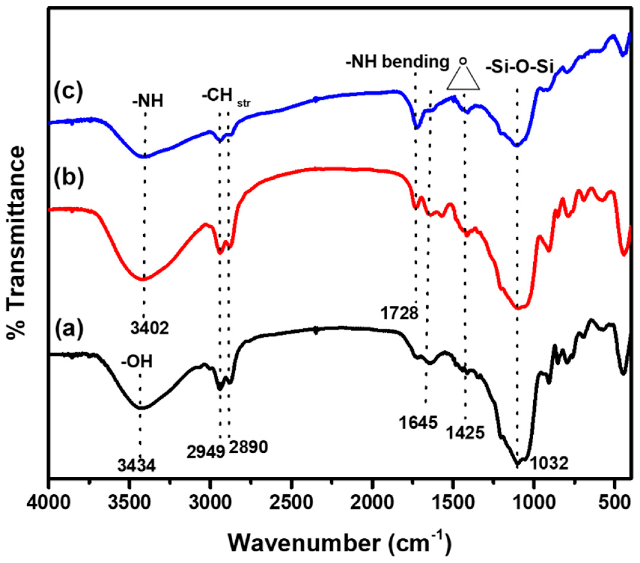 Polymers 13 03743 g001 550