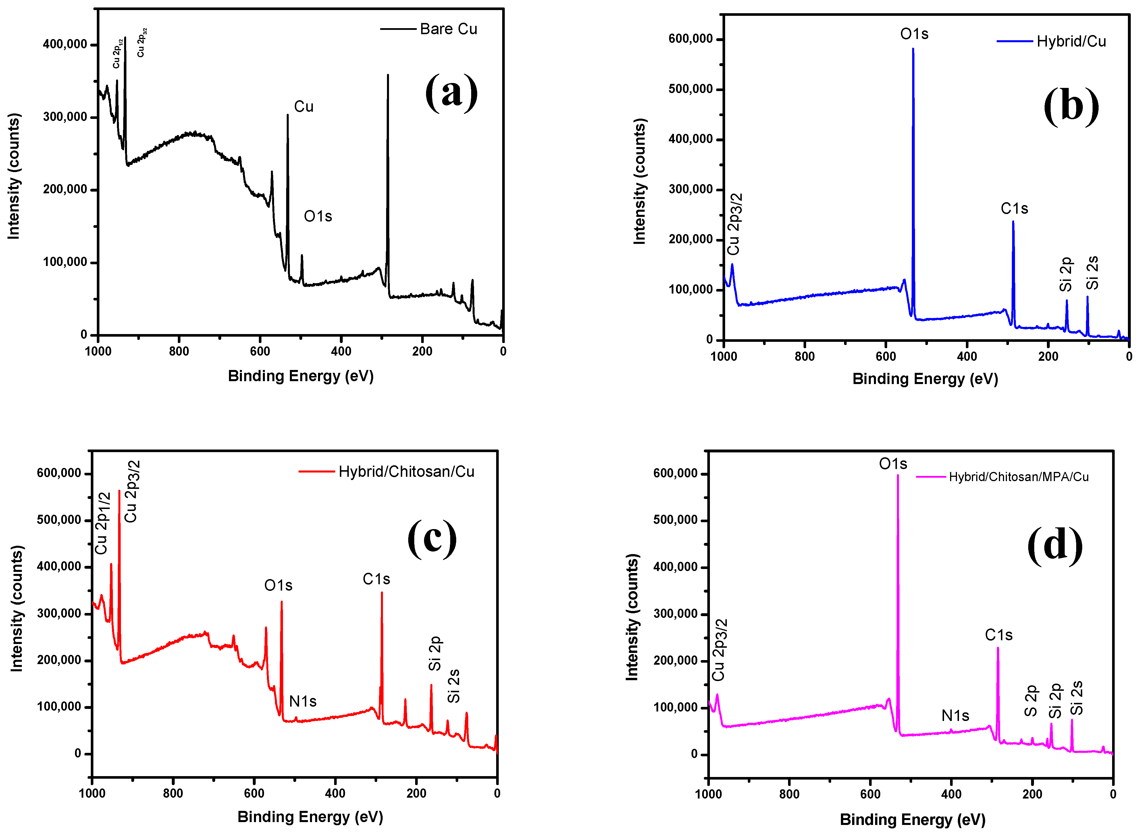 Polymers 13 03743 g002 550