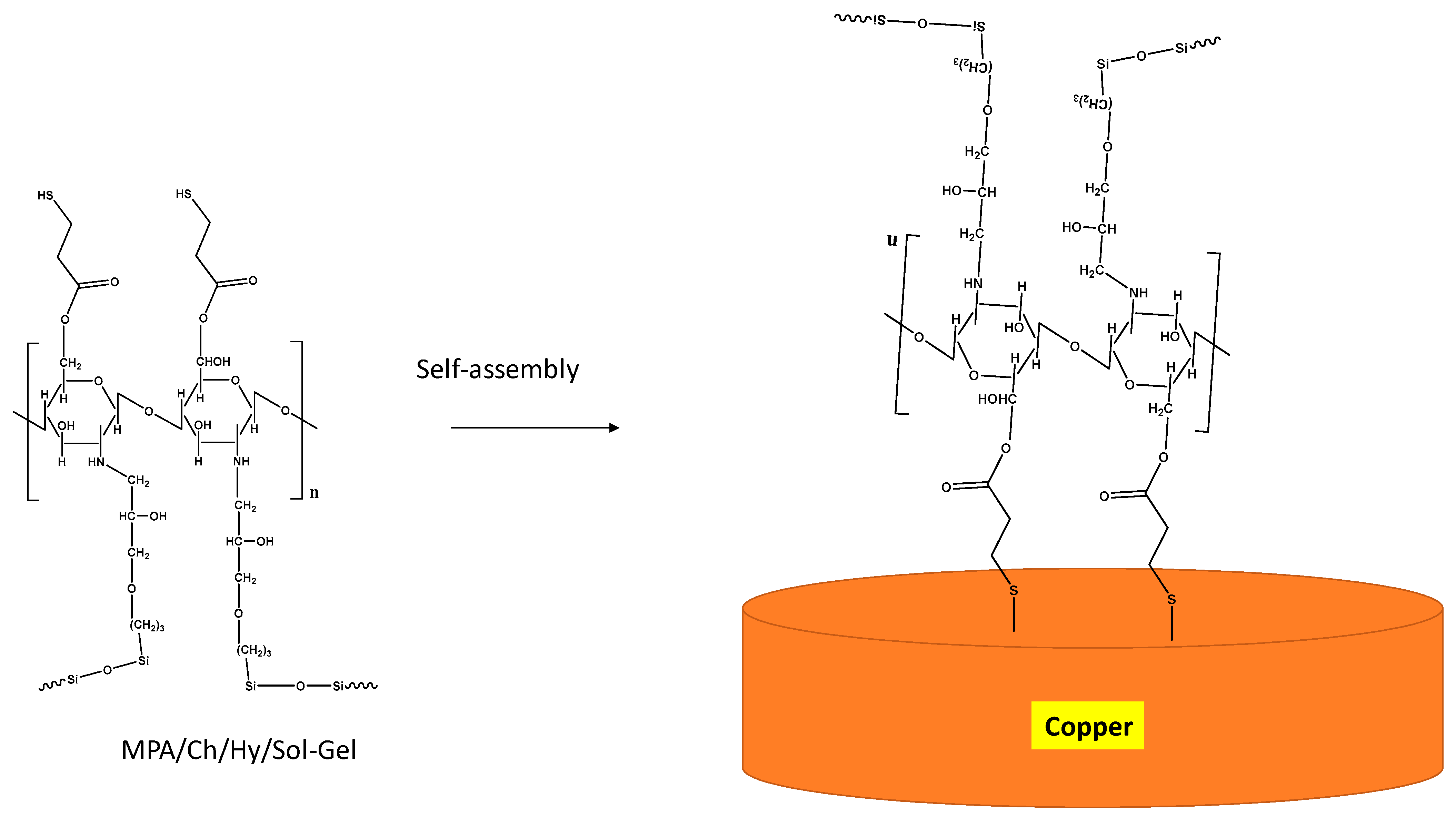 Polymers 13 03743 g012b 550
