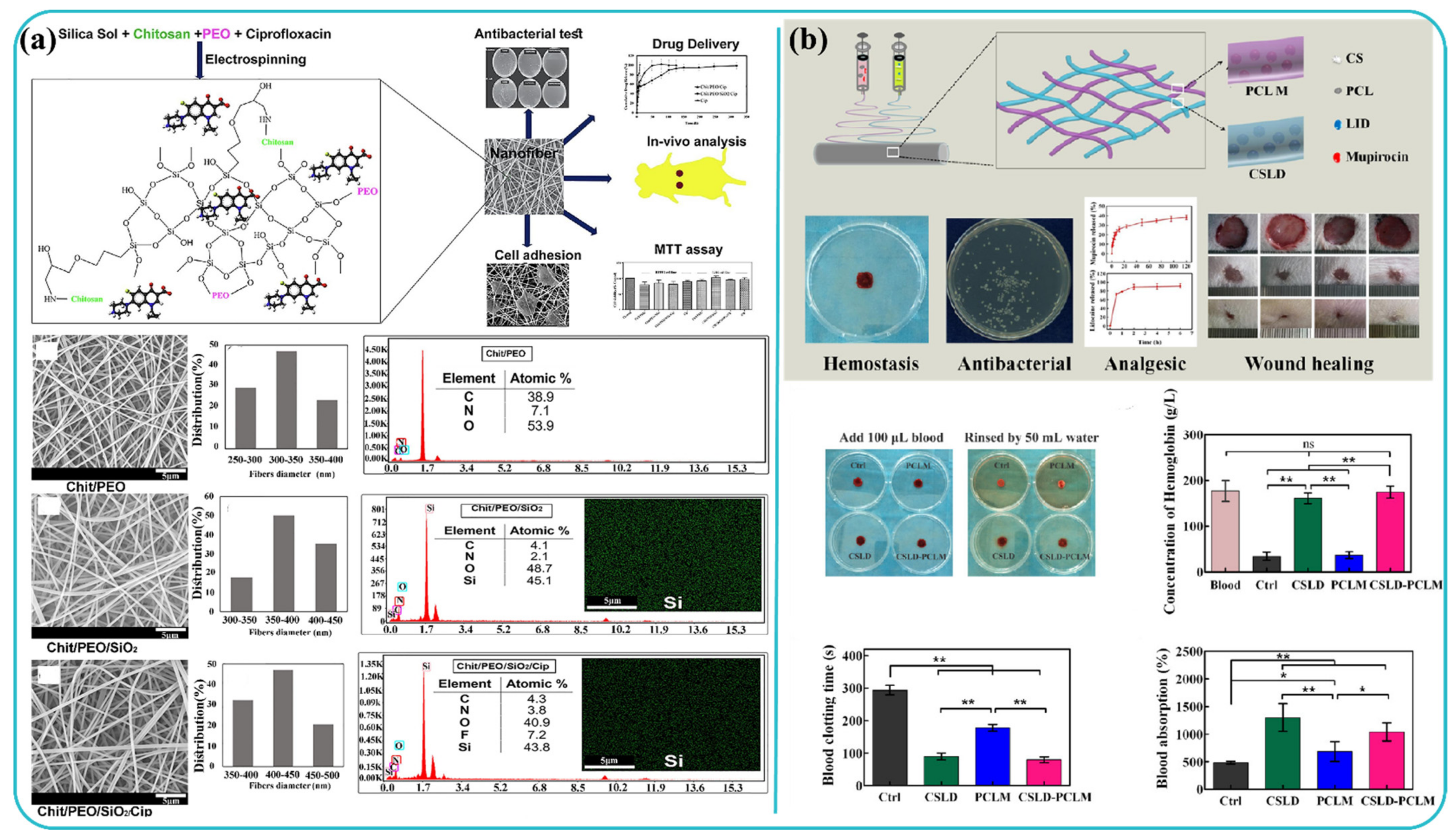 Polymers 13 03746 g007