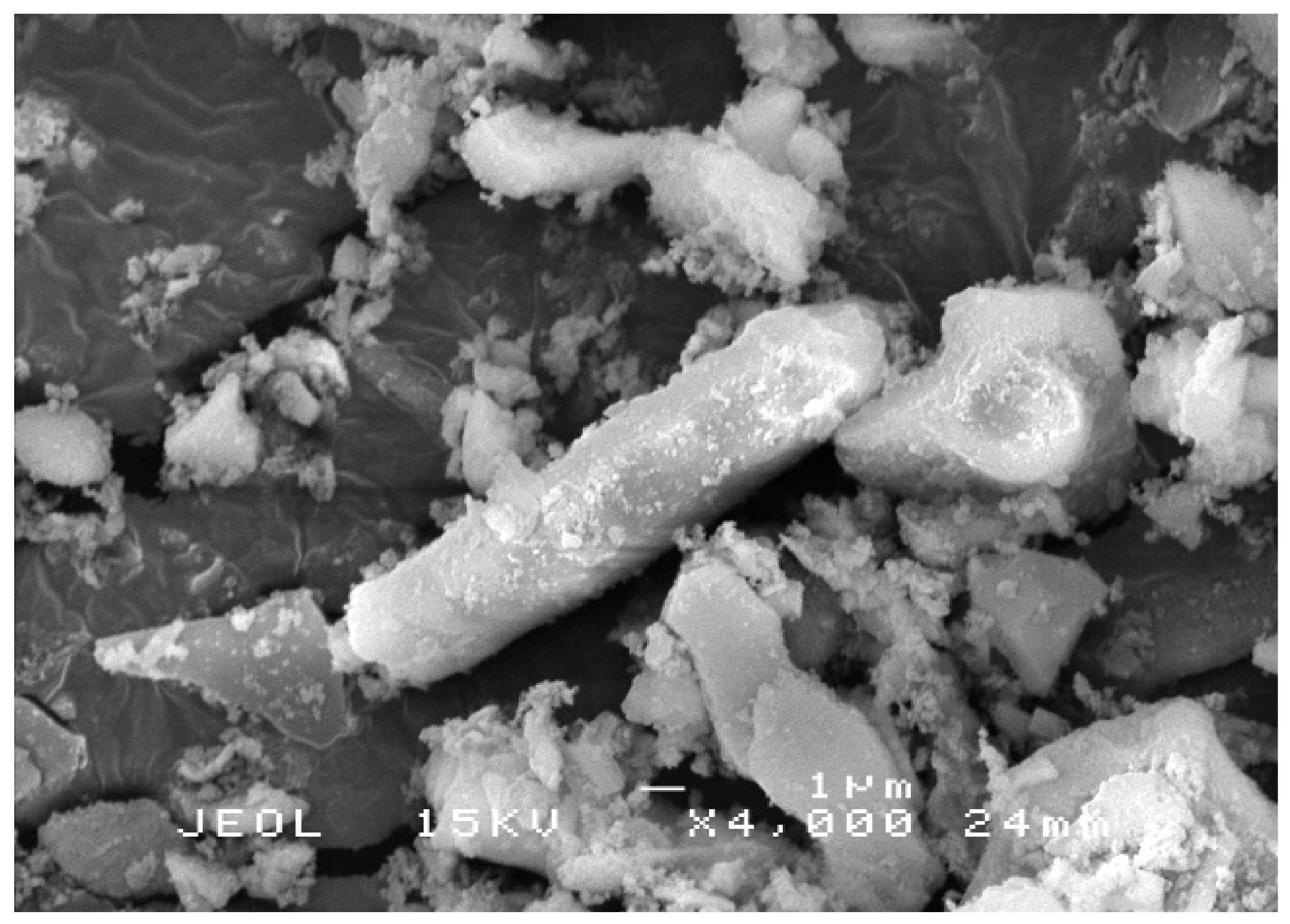 Polymers 13 03747 g002 550