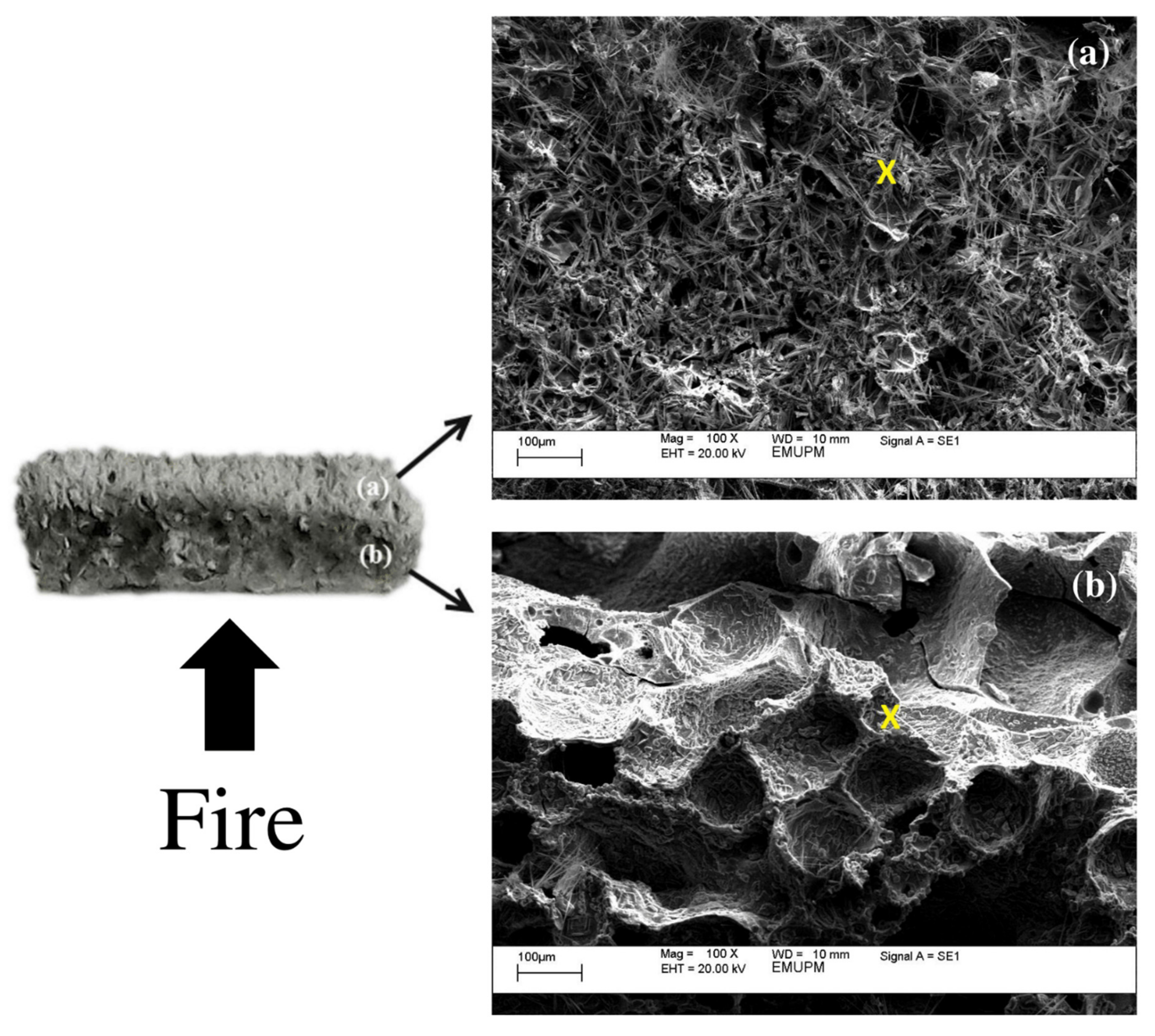 Polymers 13 03747 g017 550