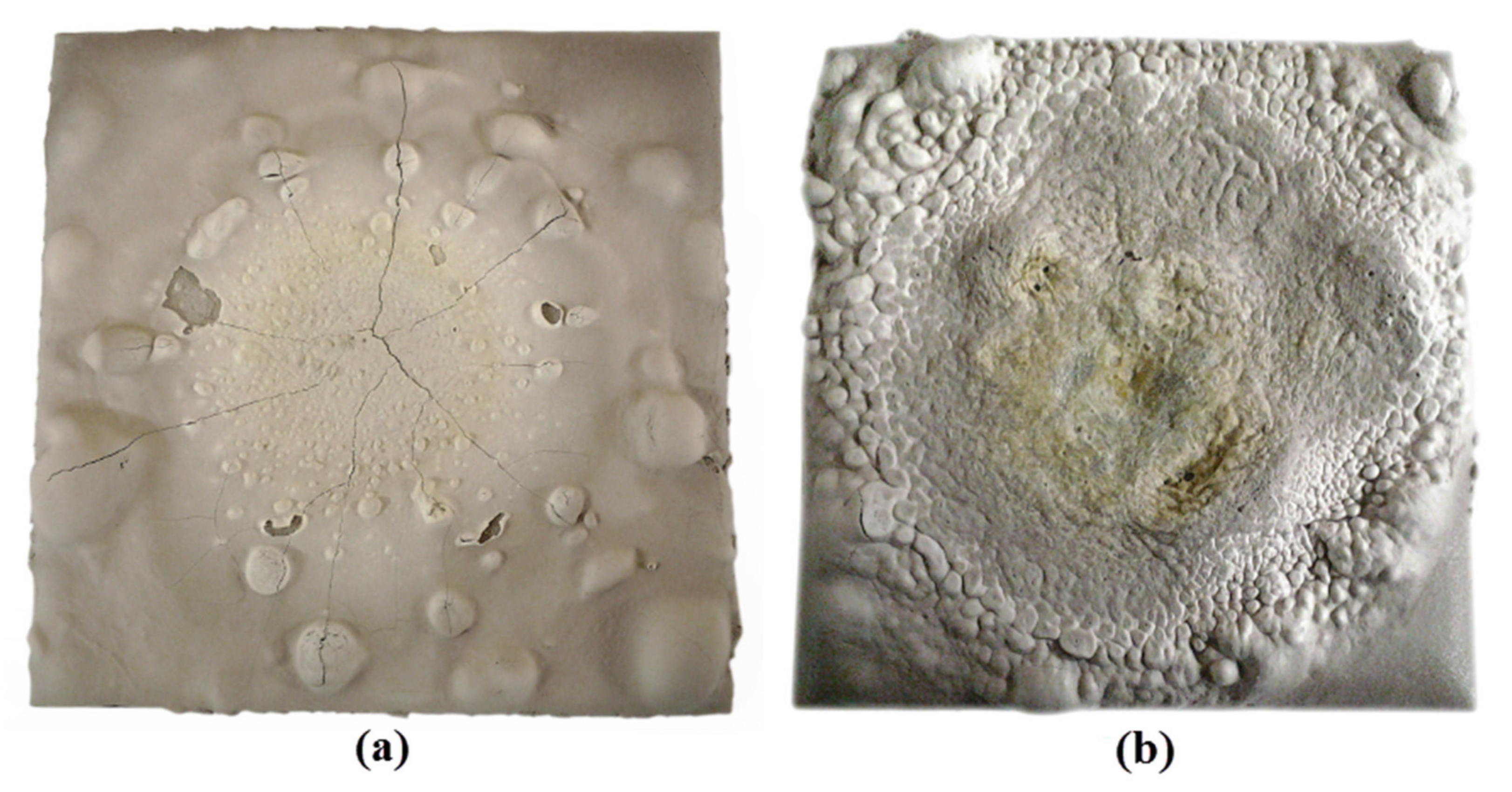 Polymers 13 03747 g020 550
