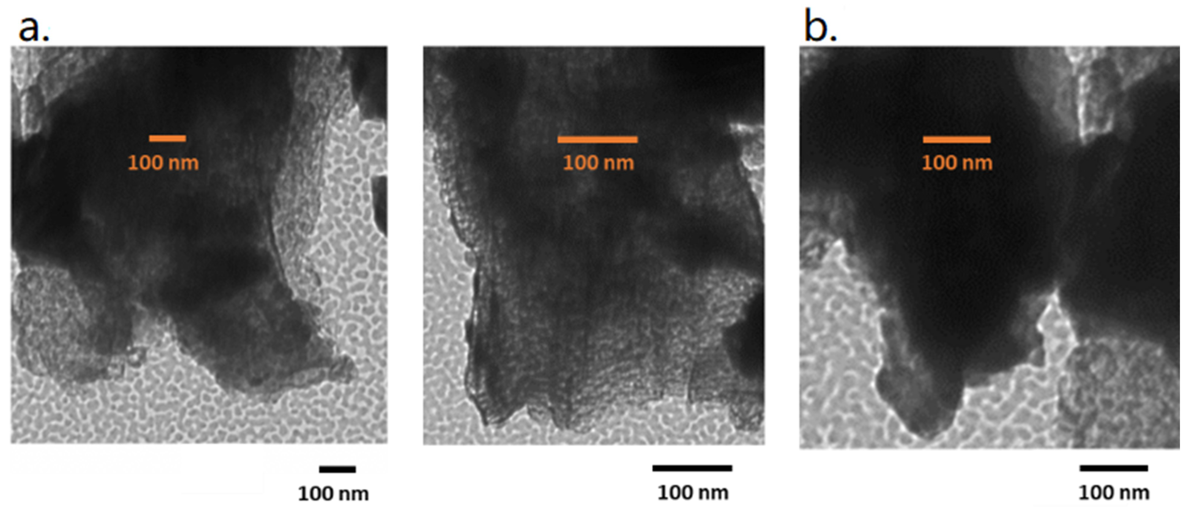 Polymers 13 03752 g001 550