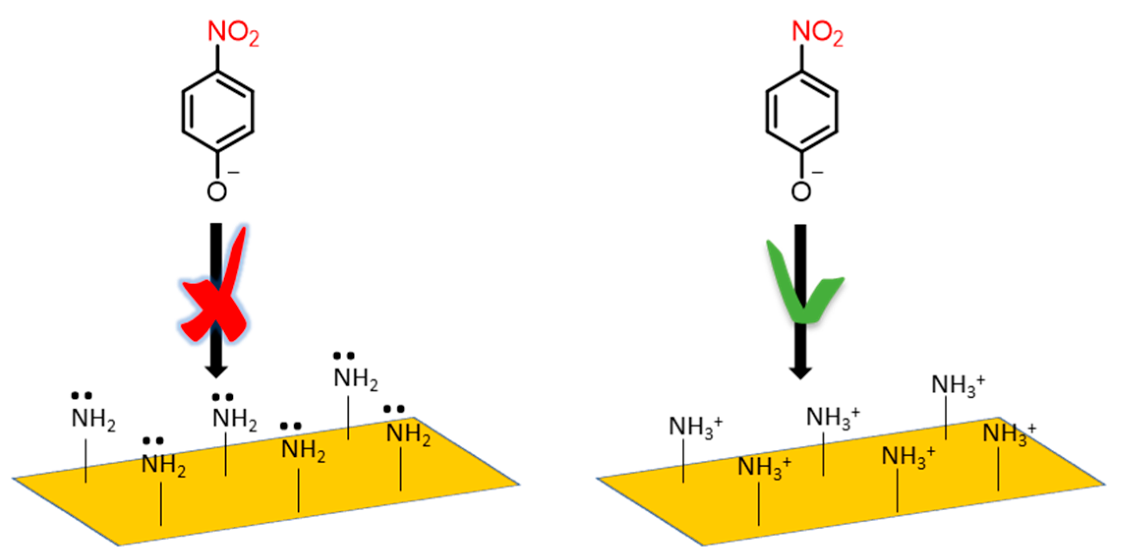 Polymers 13 03752 g011 550
