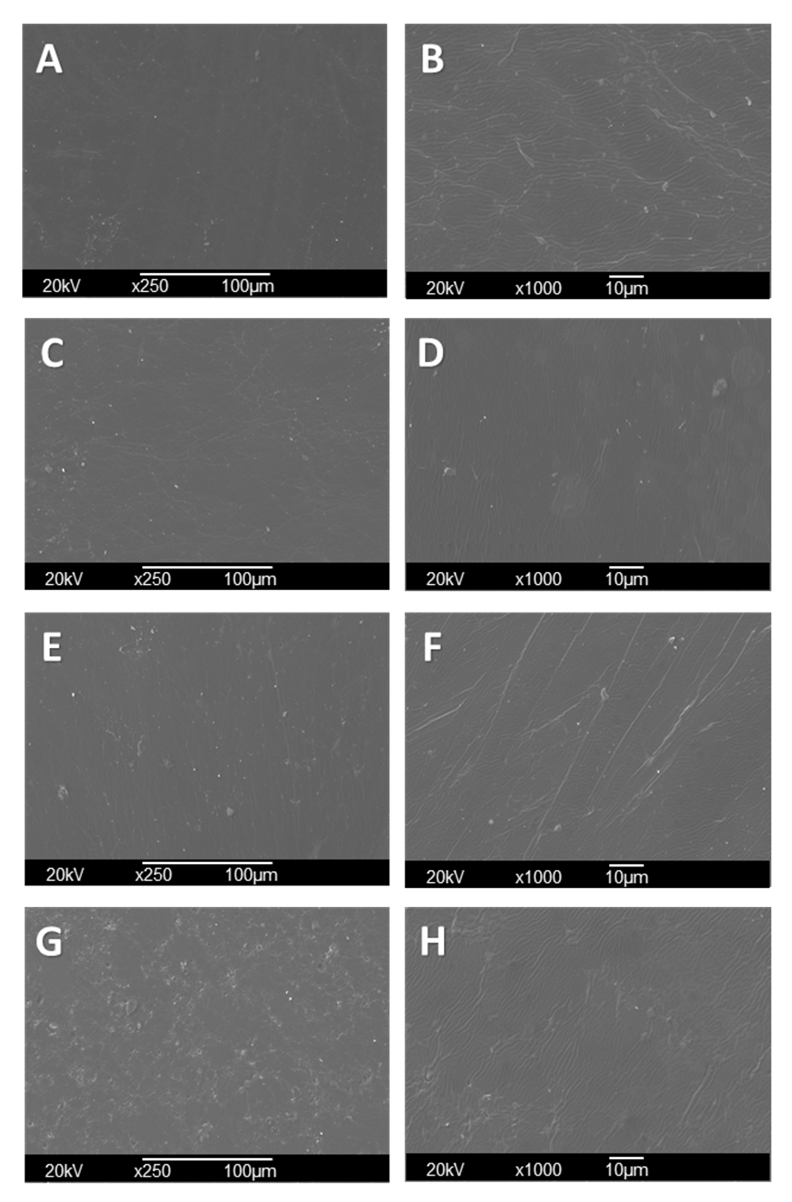 Polymers 13 03753 g004