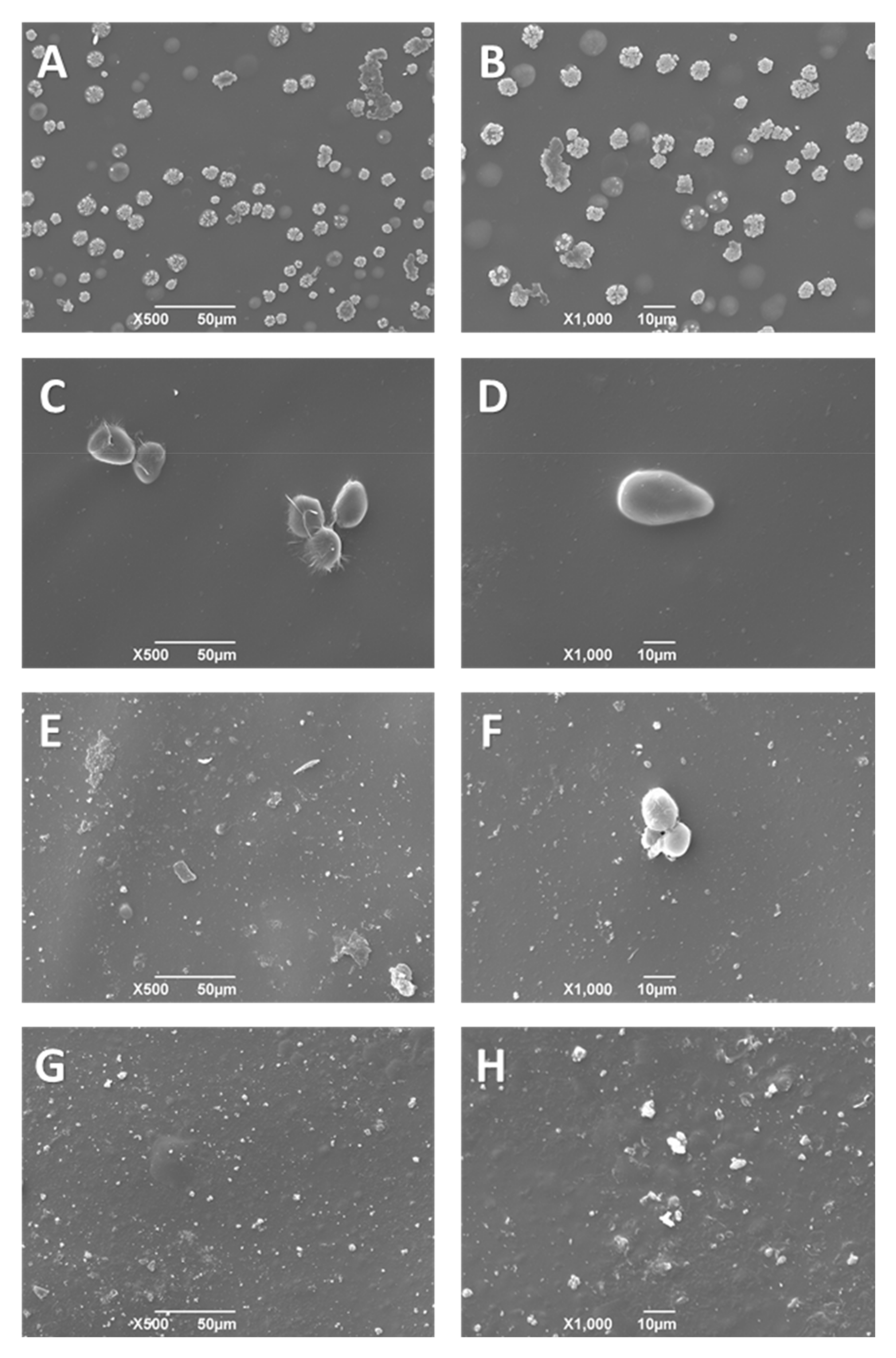 Polymers 13 03753 g007
