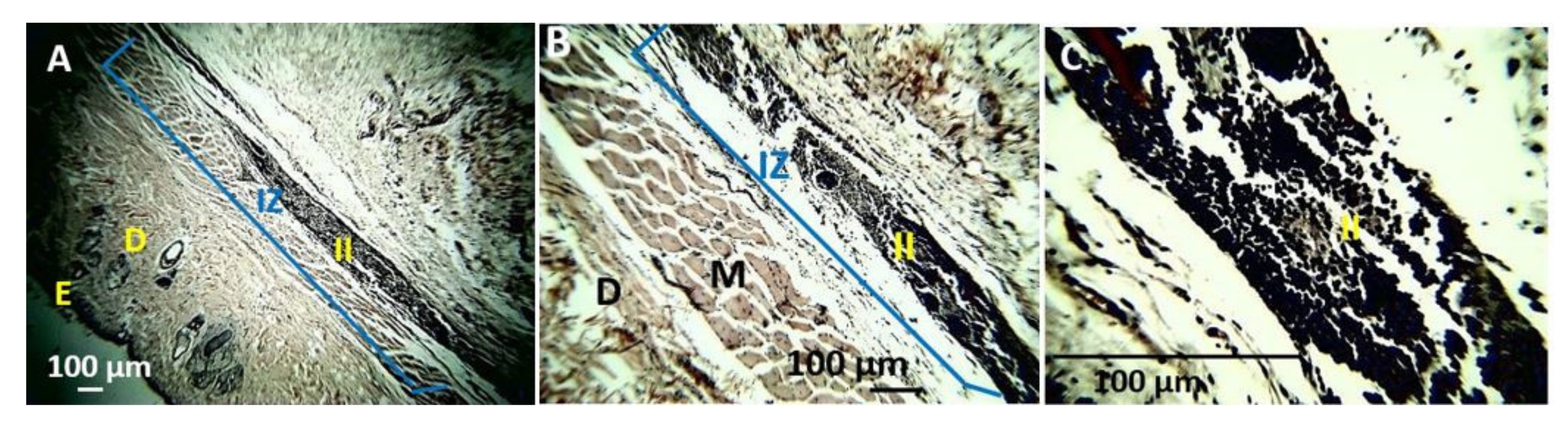 Polymers 13 03753 g013